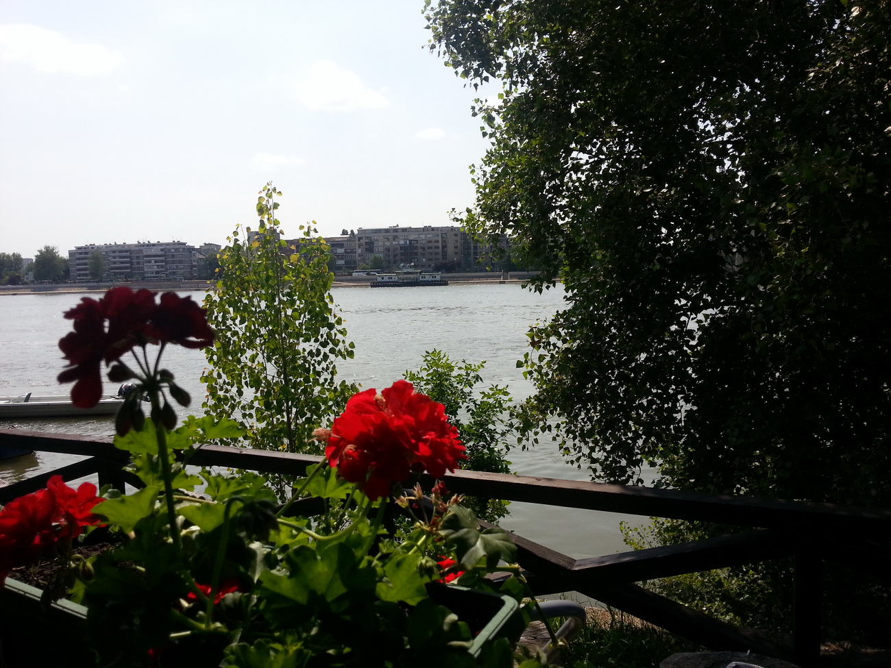 Naziv: 20150605_143508.jpg, pregleda: 234, veličina: 480,8 KB