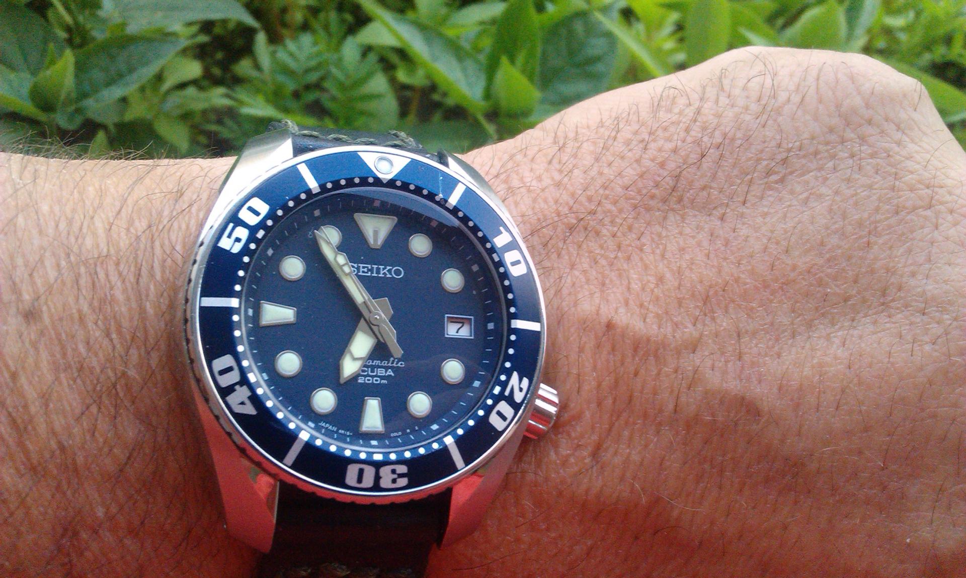 Naziv: IMAG1744.jpg, pregleda: 247, veličina: 323,2 KB