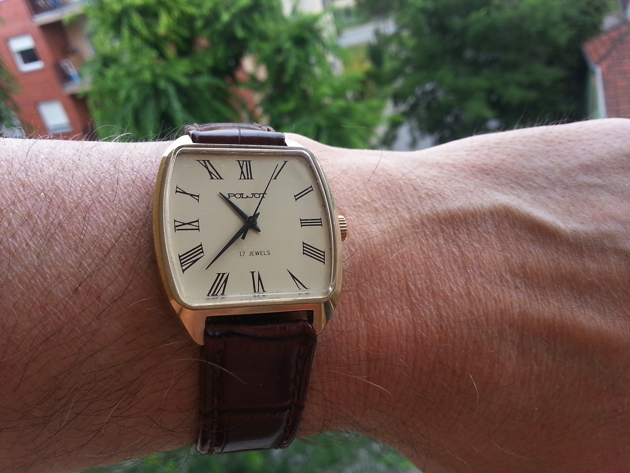 Naziv: 20150709_103745.jpg, pregleda: 182, veličina: 386,4 KB