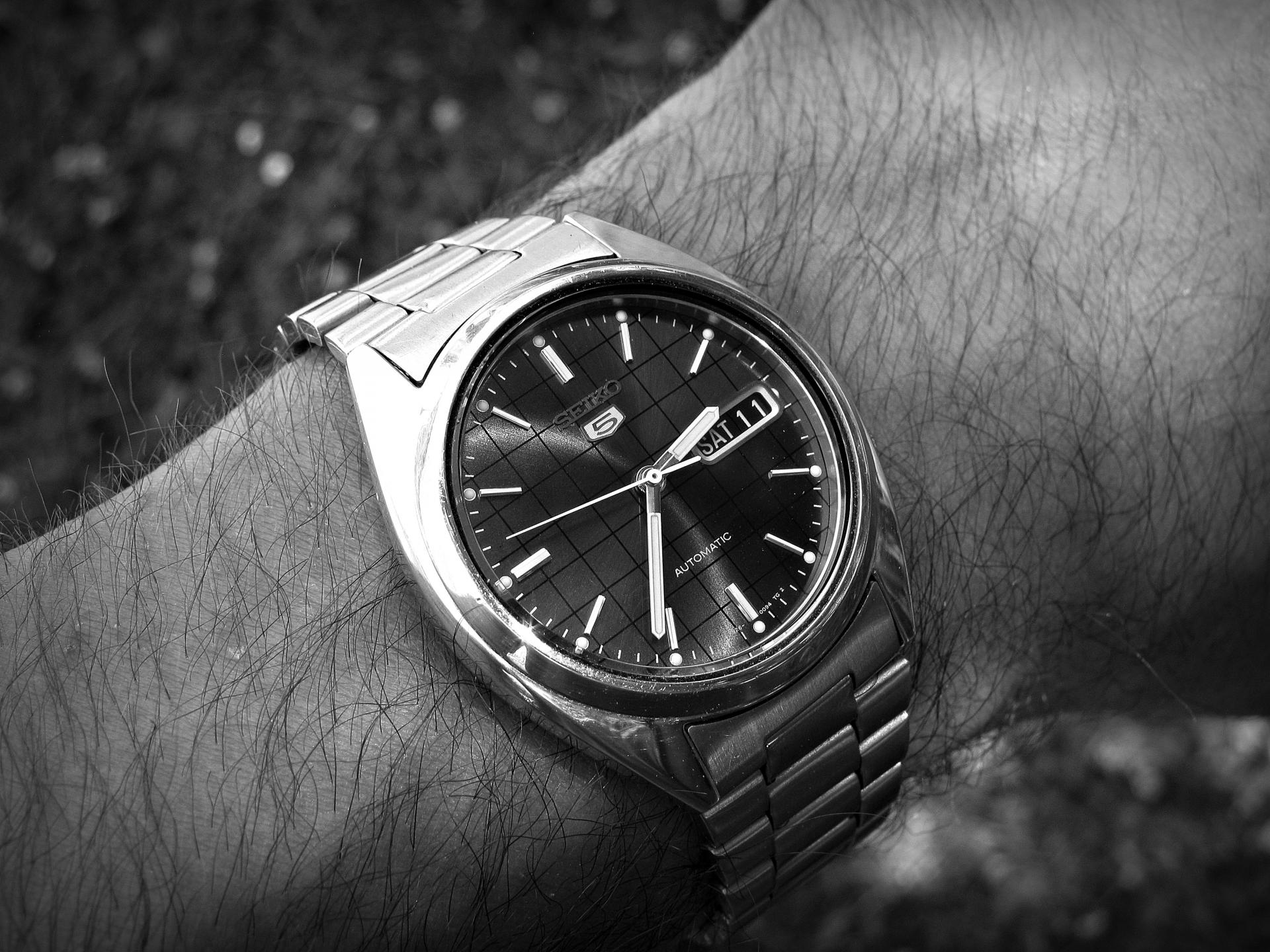 Naziv: IMG_2182 ....jpg, pregleda: 174, veličina: 374,5 KB