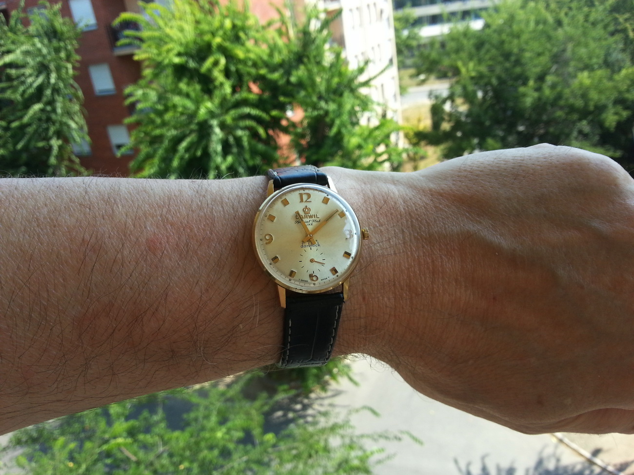 Naziv: 20150725_110712.jpg, pregleda: 209, veličina: 401,0 KB