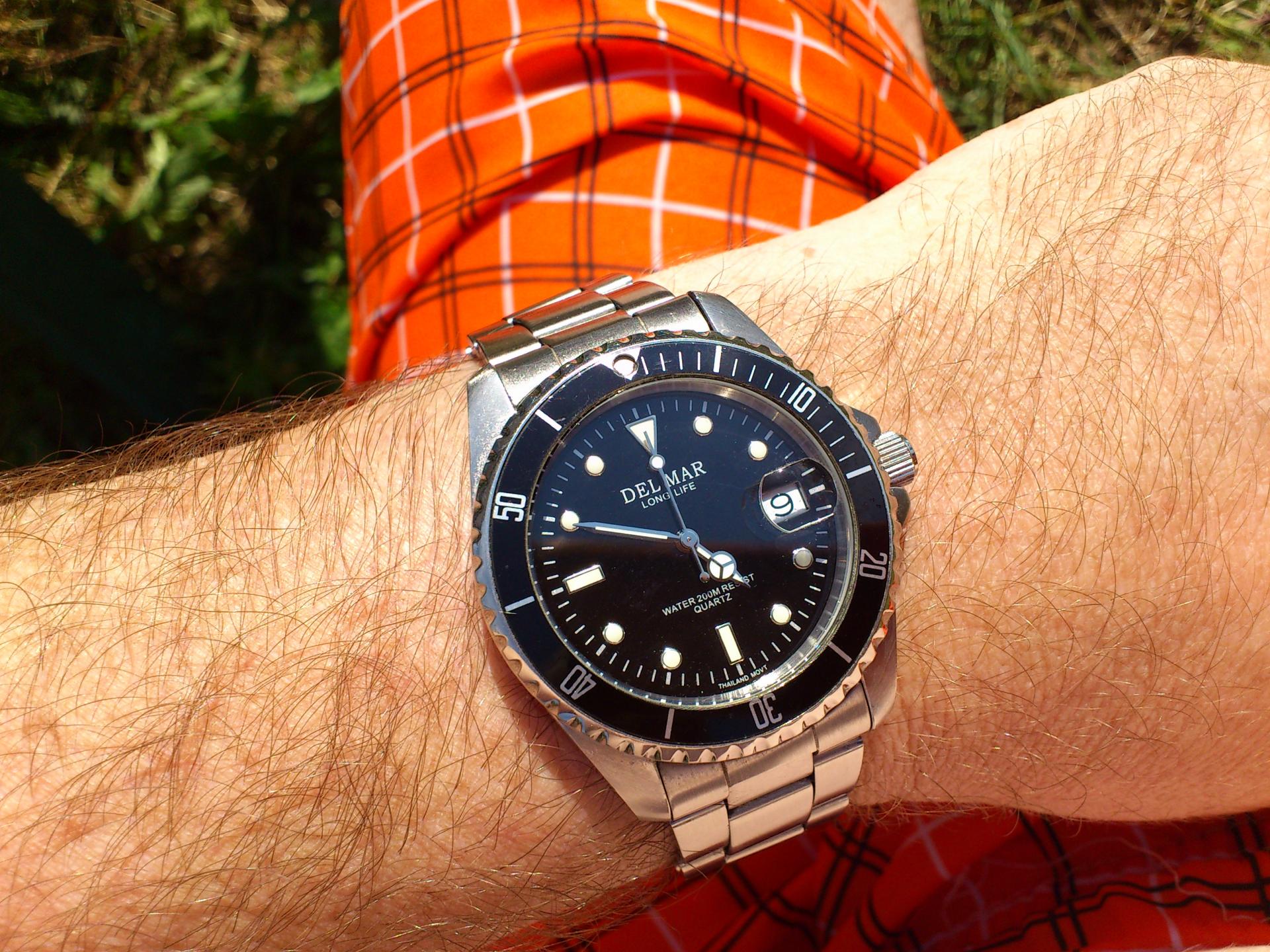 Naziv: DSC_0157.jpg, pregleda: 228, veličina: 447,2 KB