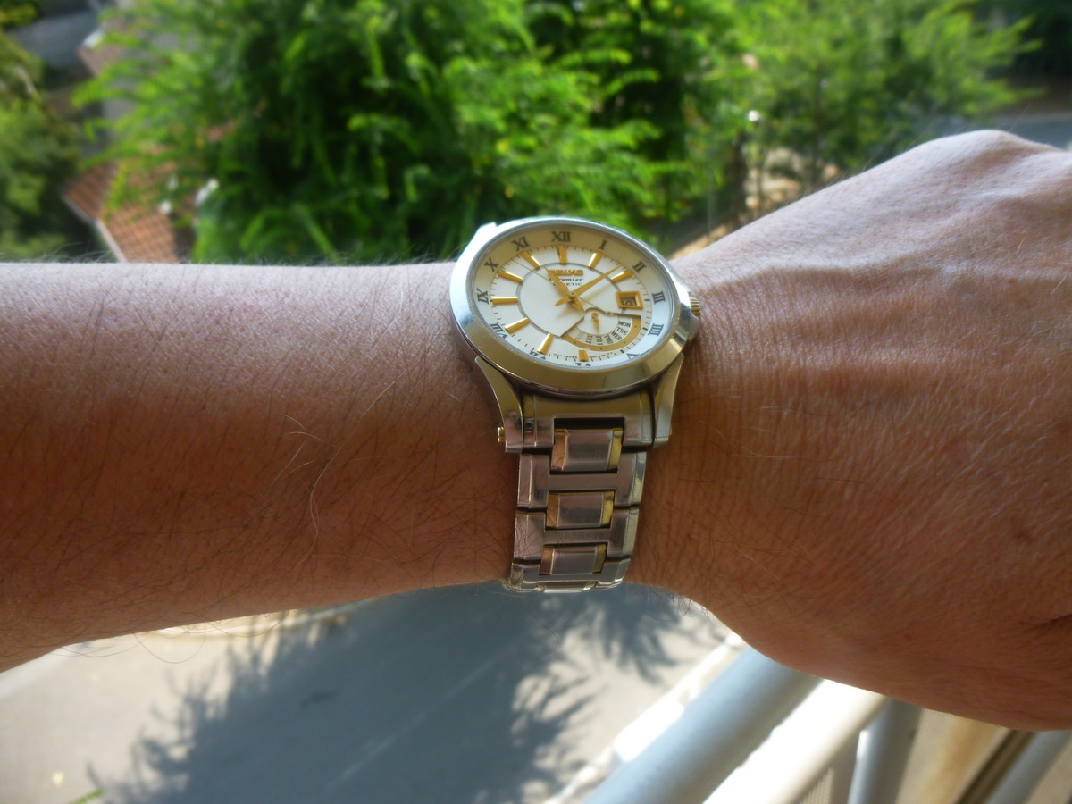 Naziv: P1010501.JPG, pregleda: 172, veličina: 301,2 KB