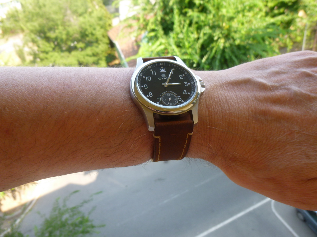 Naziv: P1010520.JPG, pregleda: 238, veličina: 311,4 KB