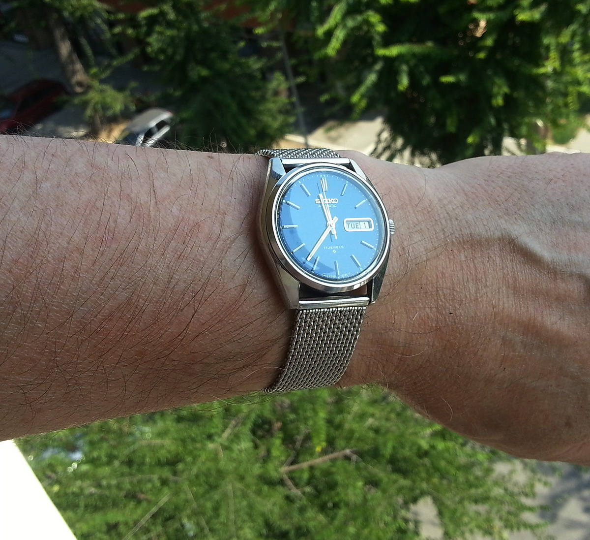 Naziv: 20150901_113705.jpg, pregleda: 217, veličina: 468,8 KB