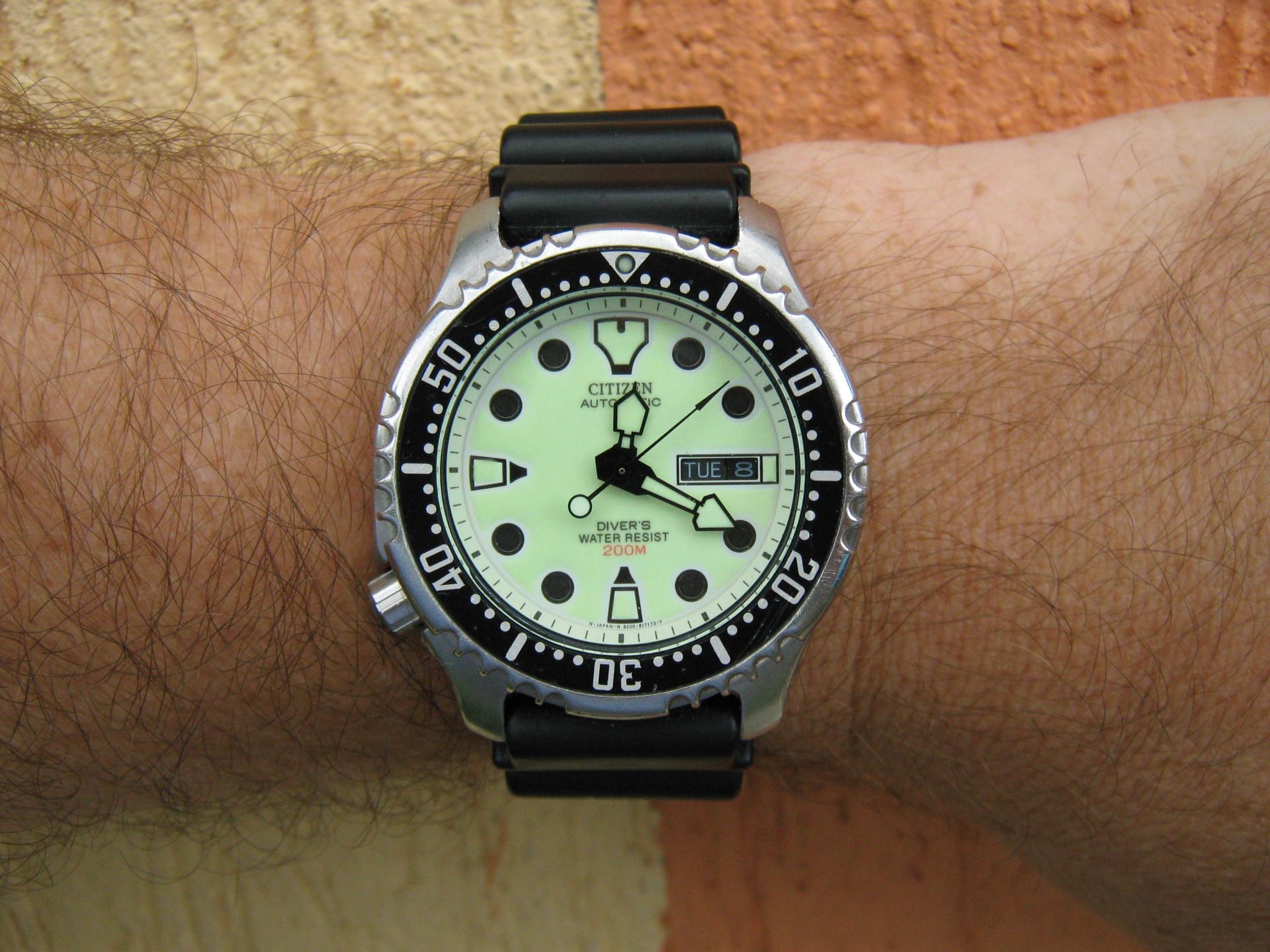 Naziv: IMG_3683.jpg, pregleda: 184, veličina: 304,4 KB