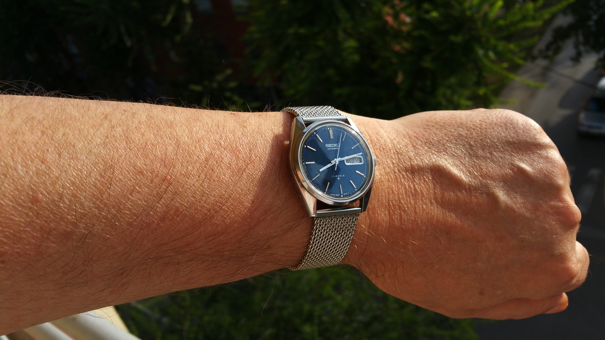 Naziv: 20150916_081246 (1).jpg, pregleda: 165, veličina: 253,4 KB