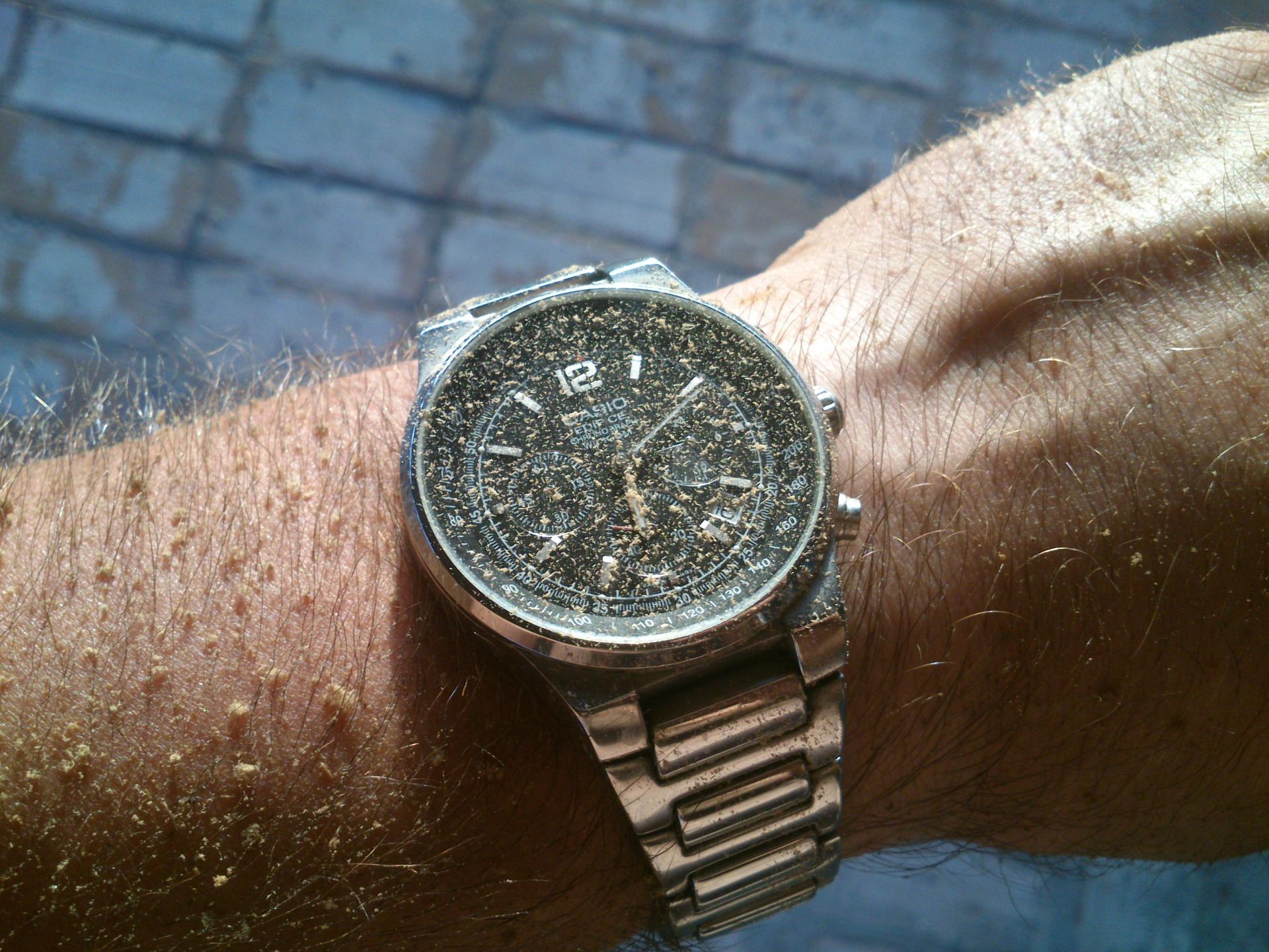 Naziv: DSC_2798.jpg, pregleda: 264, veličina: 380,3 KB