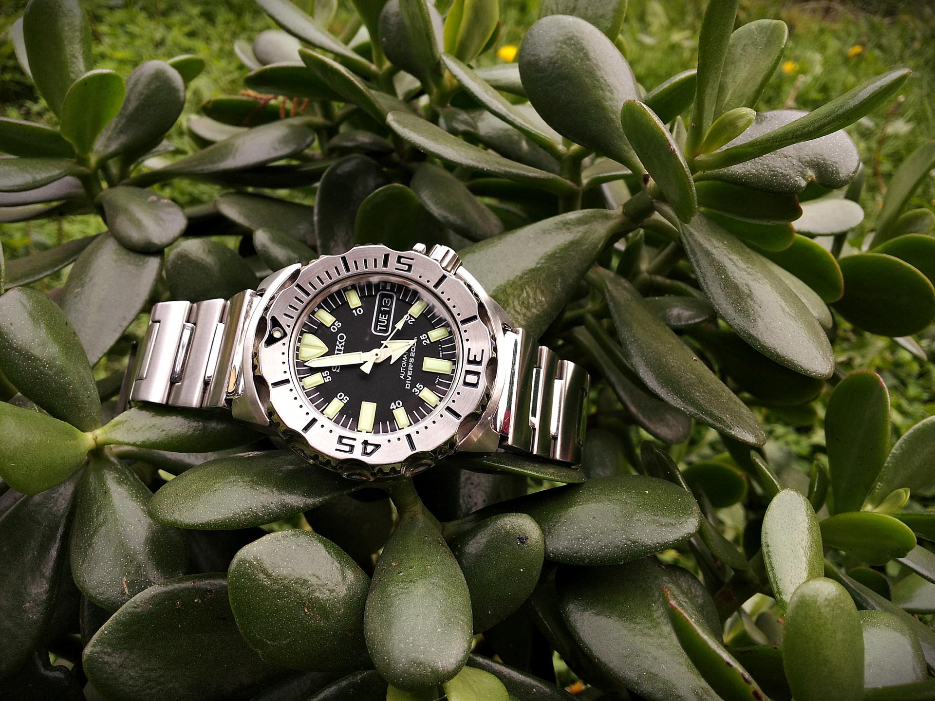 Naziv: 20151013_144654 ....jpg, pregleda: 206, veličina: 409,6 KB