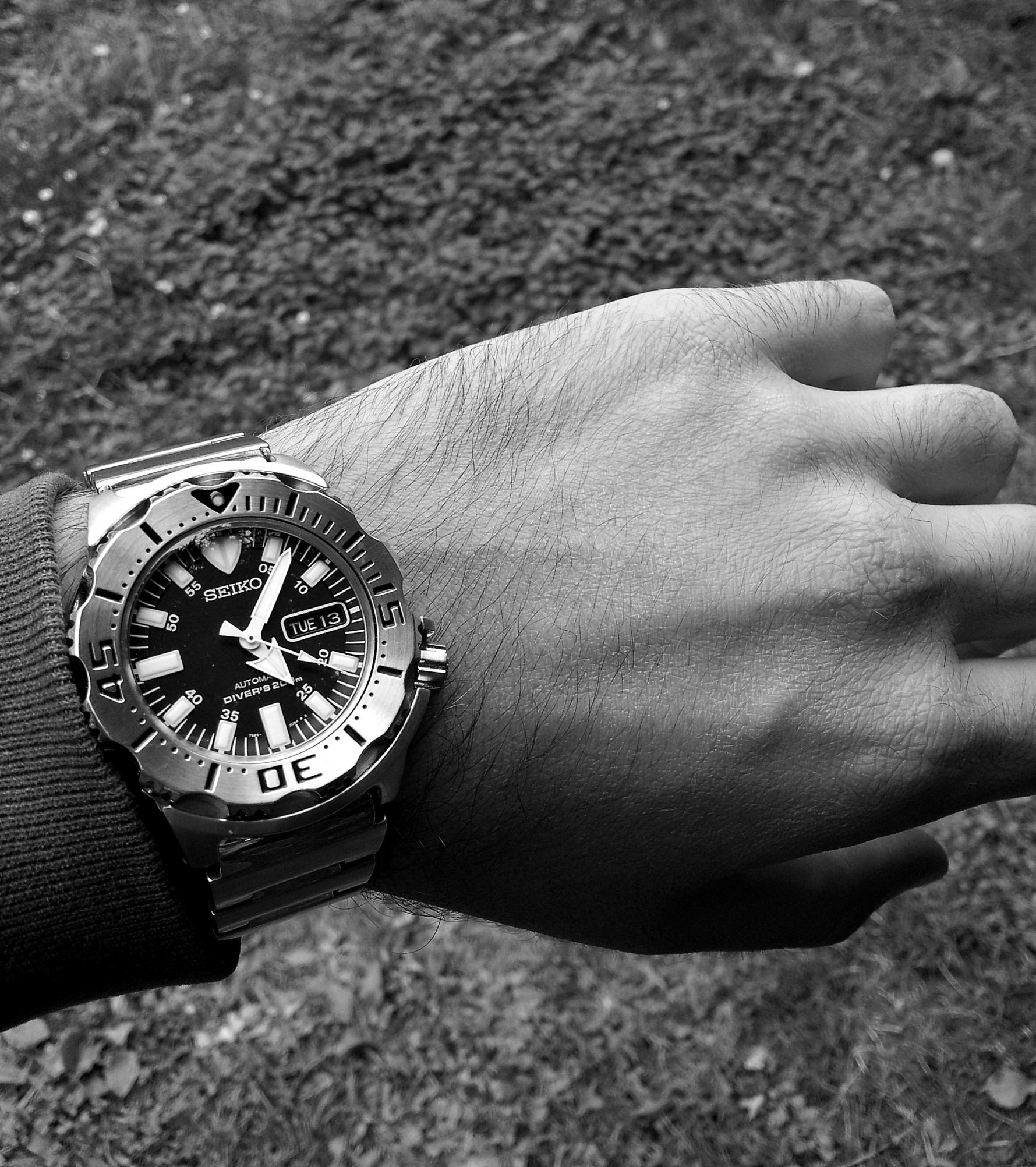 Naziv: 20151013_145556 ....jpg, pregleda: 206, veličina: 502,1 KB