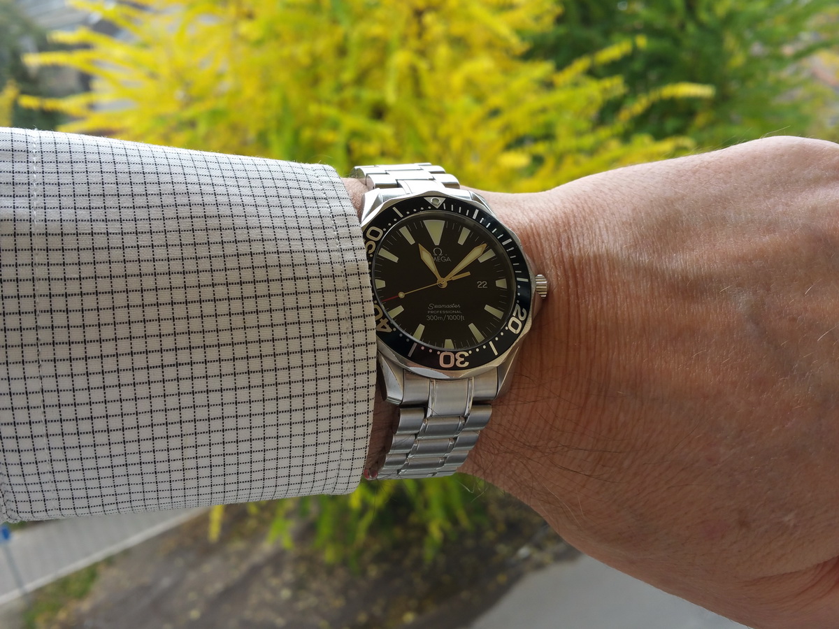 Naziv: 20151022_110838.jpg, pregleda: 209, veličina: 377,8 KB