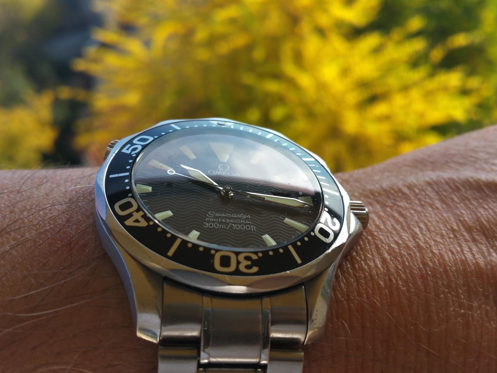 Naziv: 20151025_101642.jpg, pregleda: 162, veličina: 213,8 KB