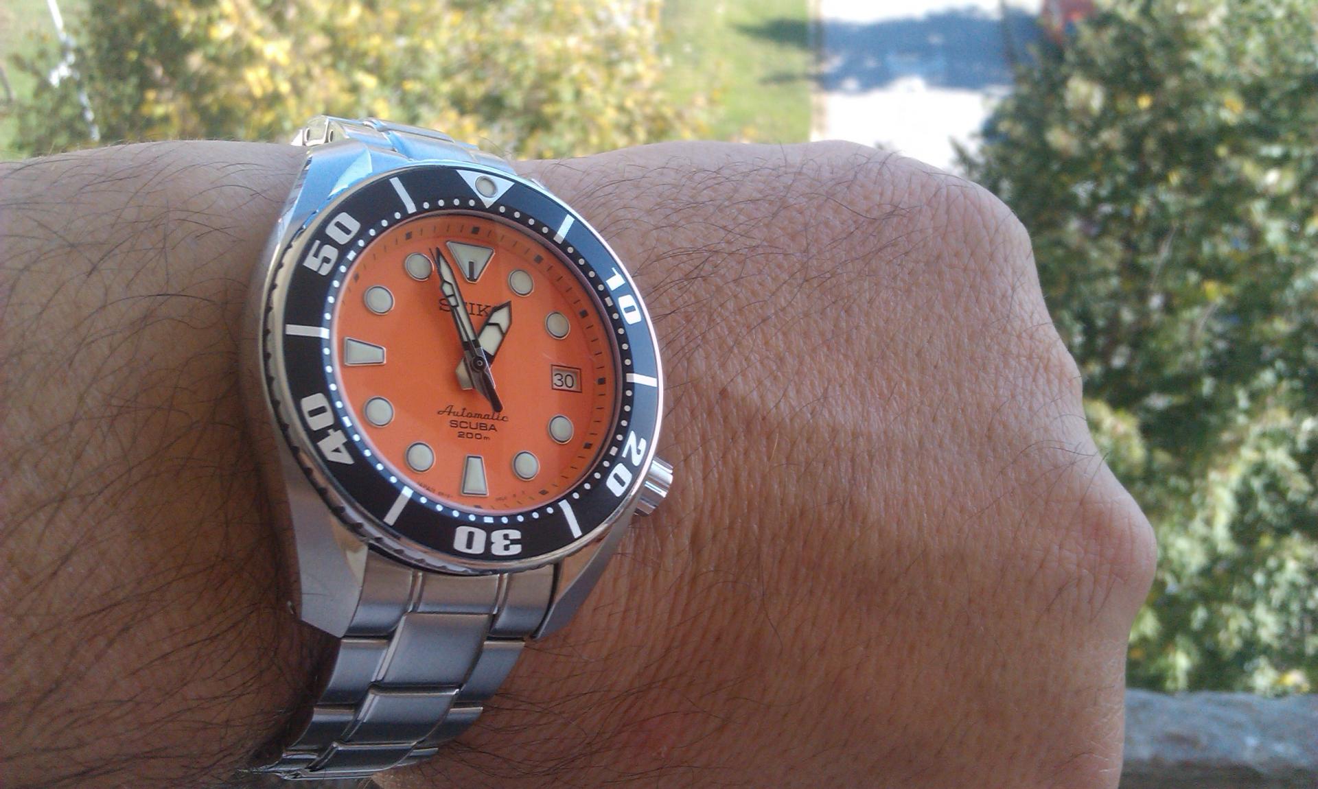 Naziv: IMAG0130.jpg, pregleda: 211, veličina: 247,7 KB