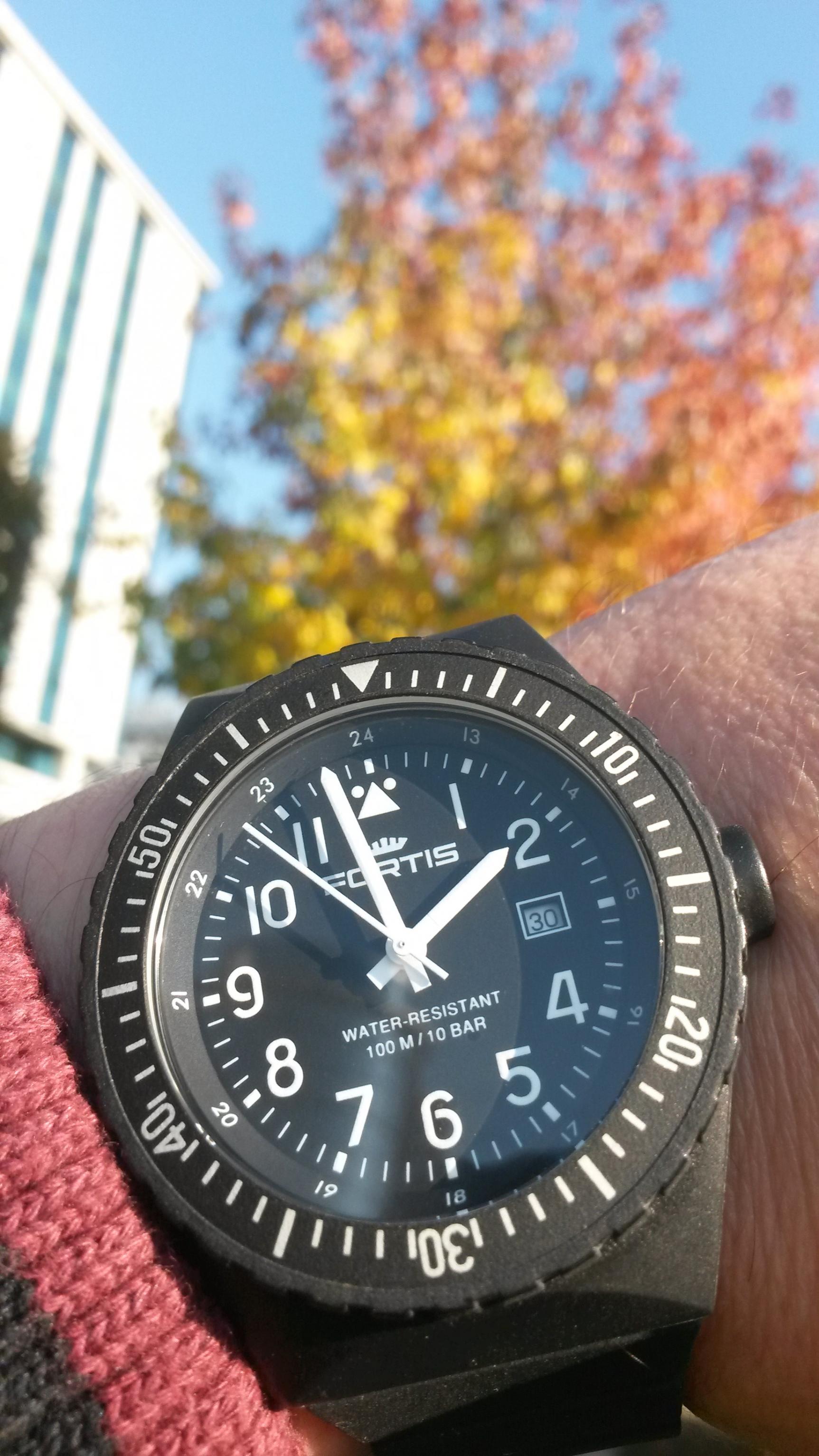 Naziv: 20151030_135831.jpg, pregleda: 190, veličina: 432,2 KB