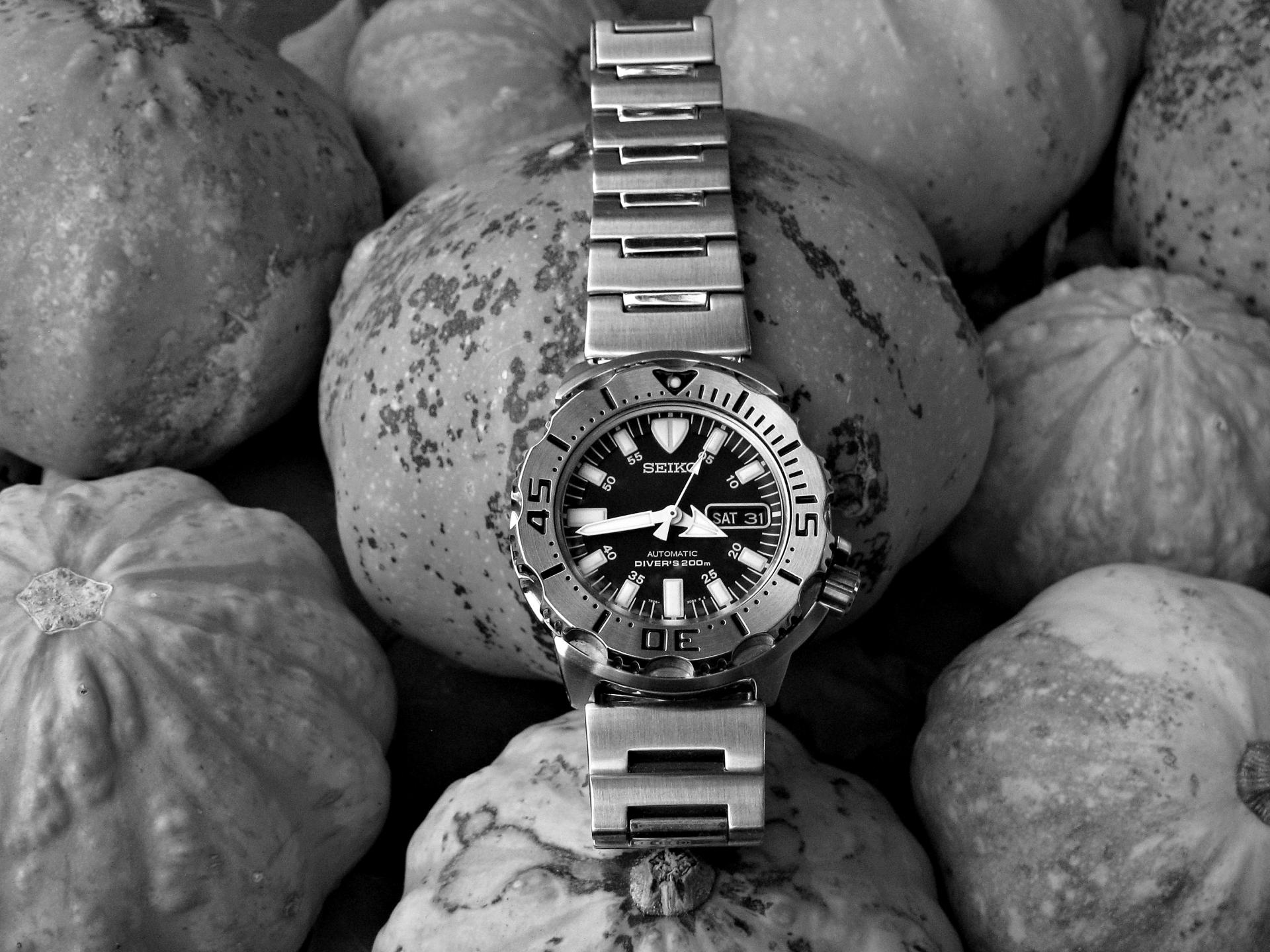 Naziv: IMG_2627 ....jpg, pregleda: 149, veličina: 333,1 KB