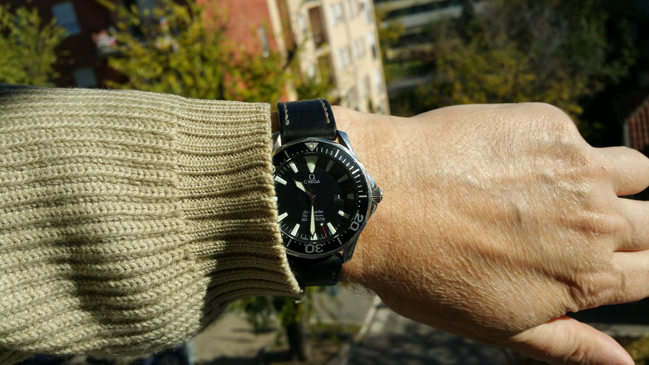 Naziv: 20151101_103022.jpg, pregleda: 181, veličina: 375,6 KB