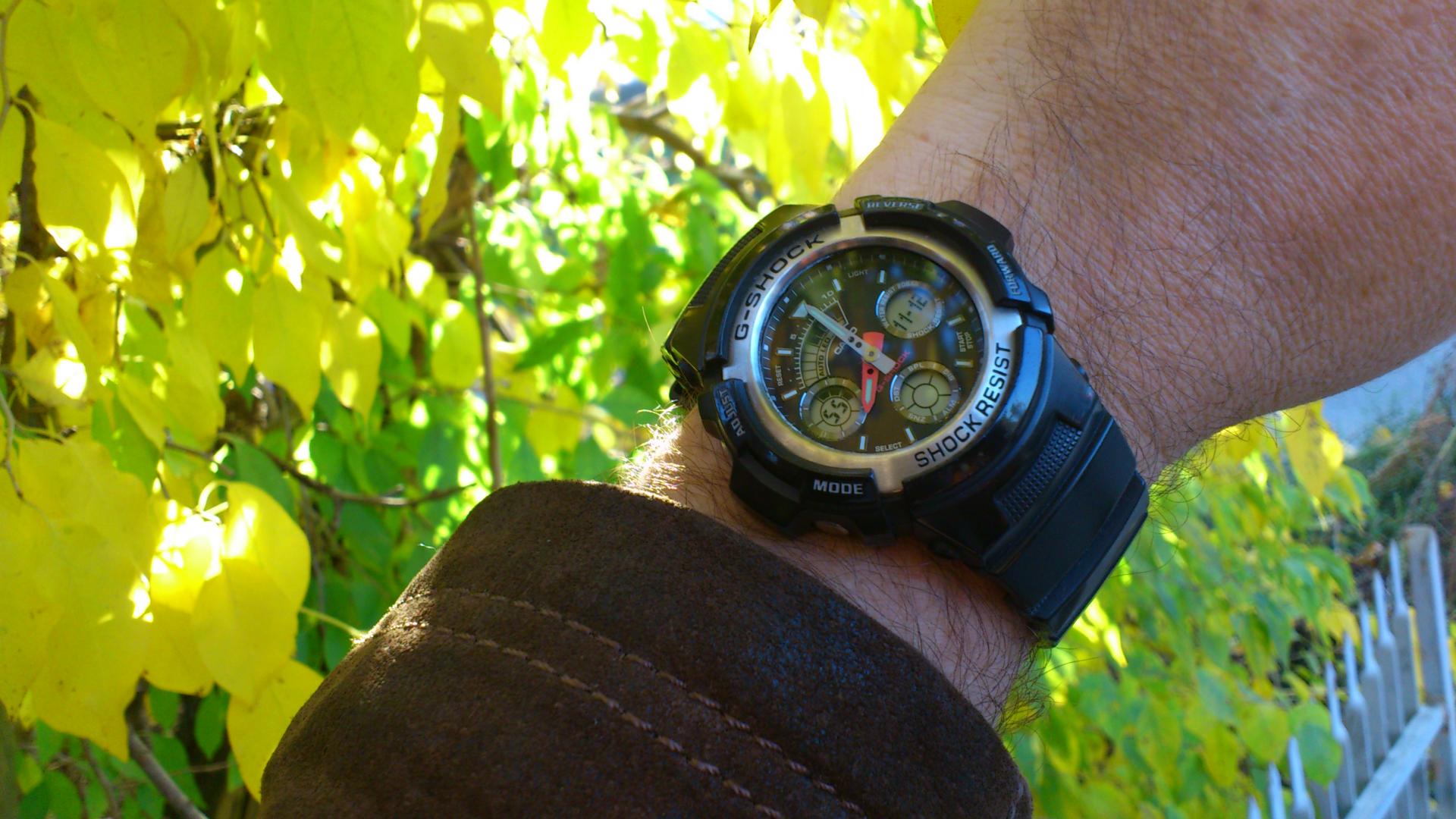 Naziv: DSC_0072.jpg, pregleda: 156, veličina: 229,8 KB