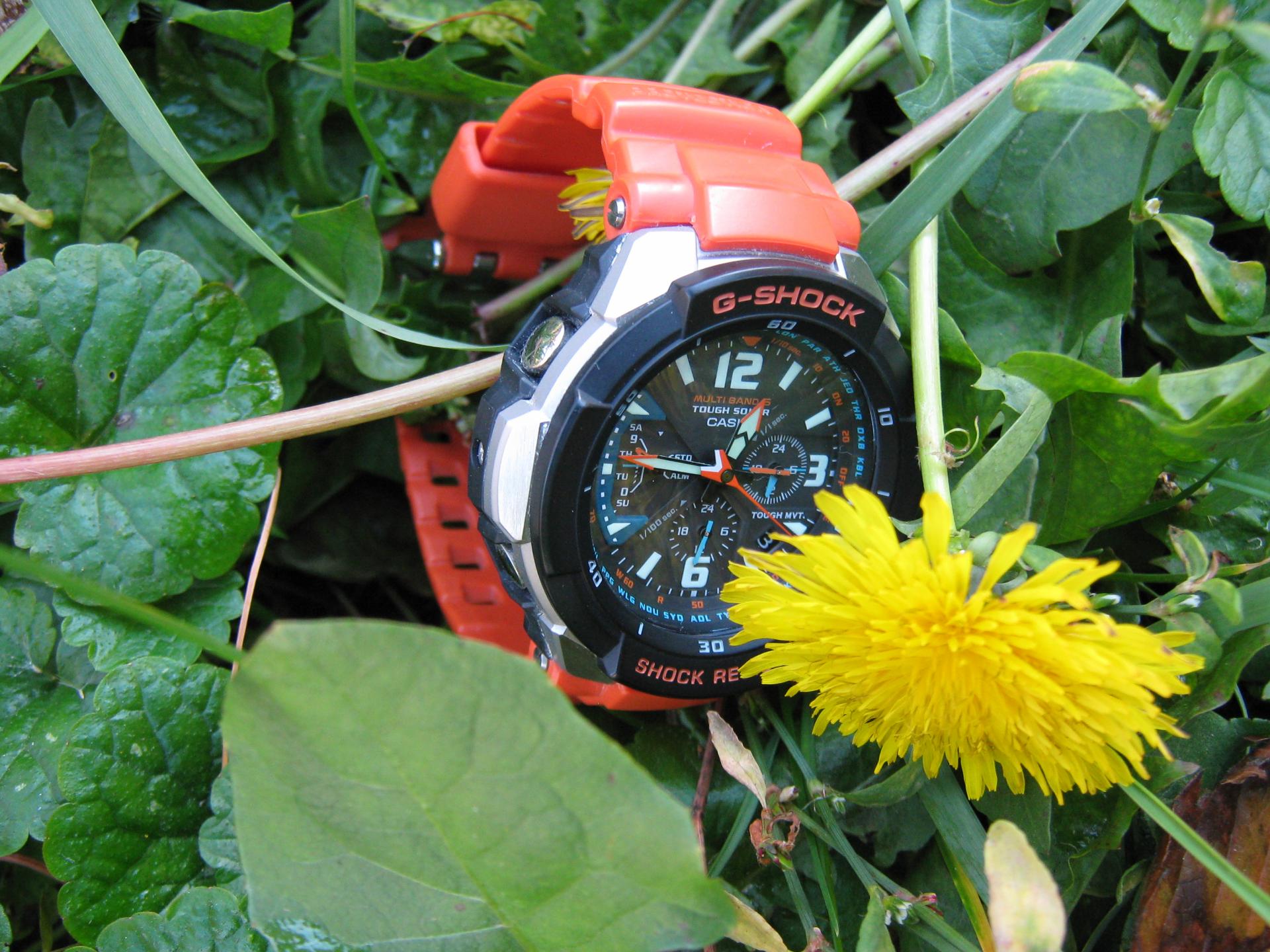 Naziv: IMG_3884.jpg, pregleda: 150, veličina: 337,6 KB