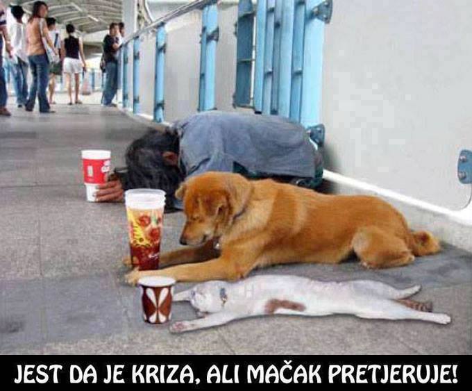 Naziv: 190405868053468200693253.jpg, pregleda: 199, veličina: 50,5 KB