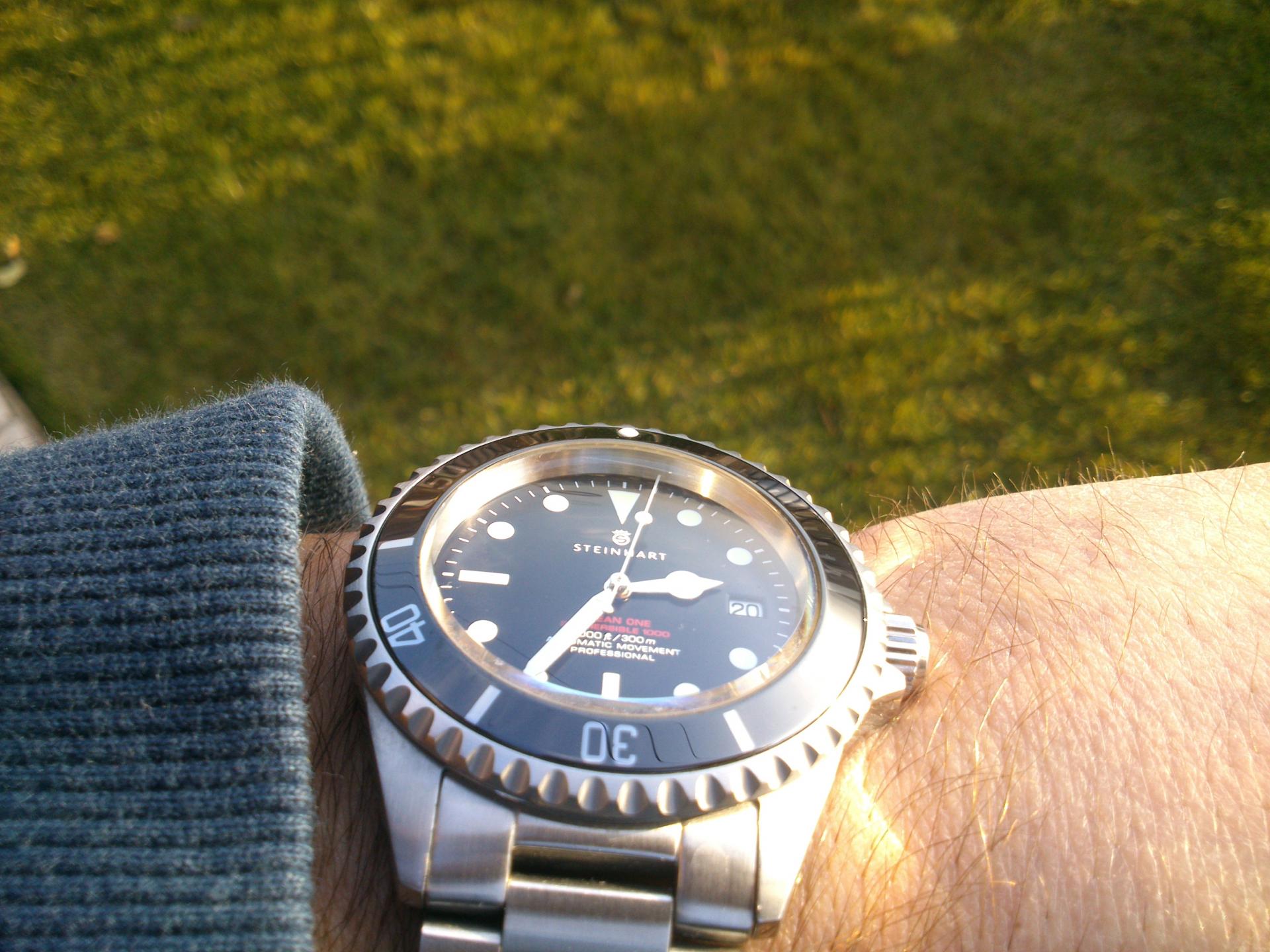 Naziv: DSC_2933.jpg, pregleda: 149, veličina: 287,8 KB