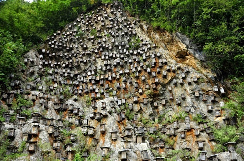 Naziv: 1.jpg, pregleda: 173, veličina: 189,1 KB