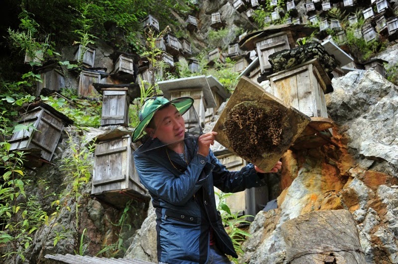 Naziv: 4.jpg, pregleda: 169, veličina: 167,0 KB