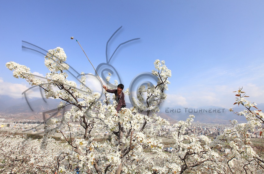 Naziv: 2.jpg, pregleda: 173, veličina: 210,8 KB