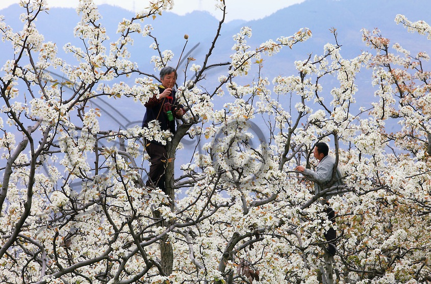 Naziv: 3.jpg, pregleda: 179, veličina: 342,5 KB
