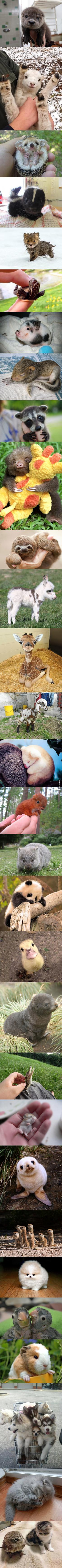 Naziv: aE71Mdo_700b.jpg, pregleda: 178, veličina: 355,1 KB