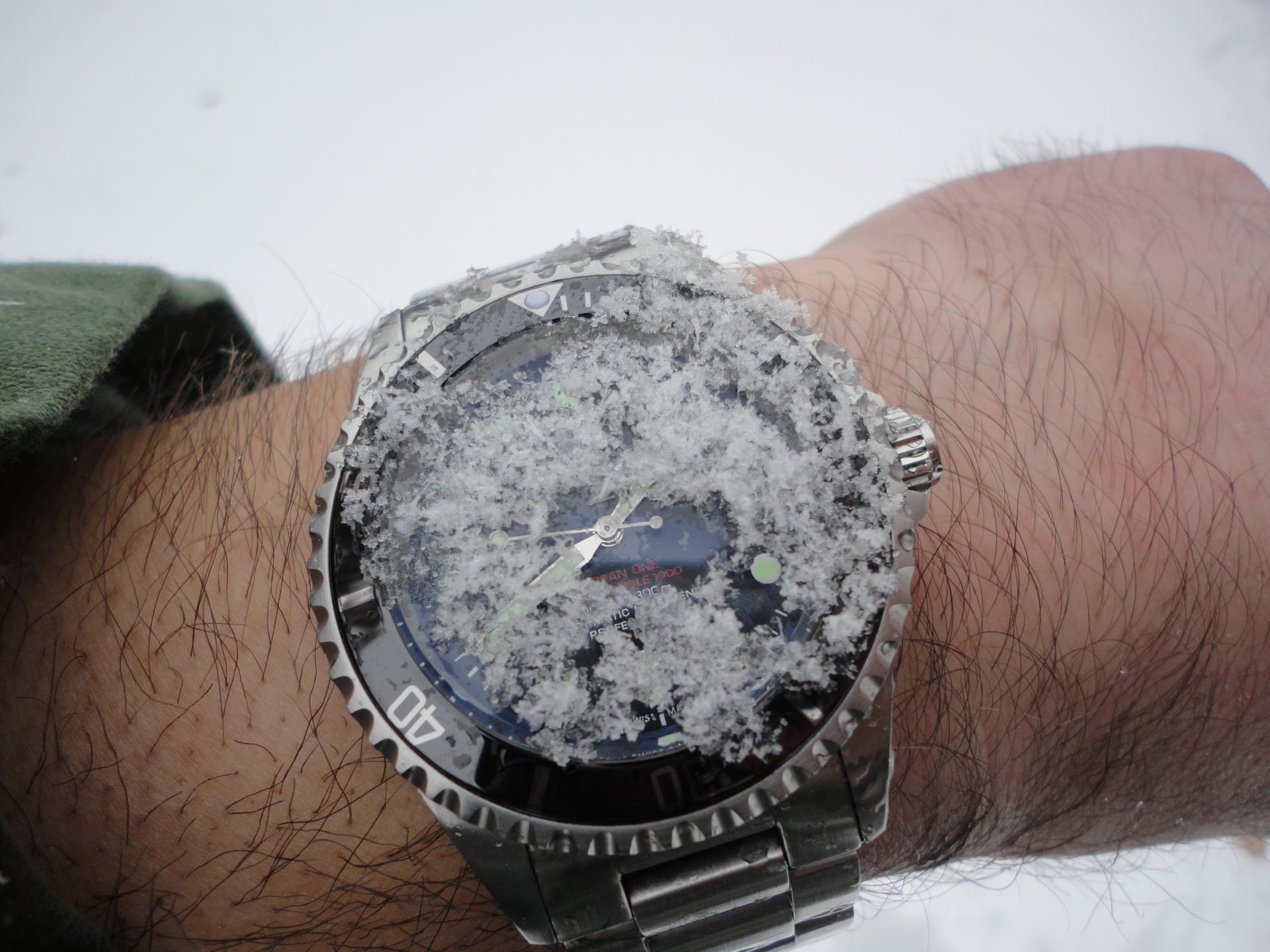 Naziv: DSC03652.jpg, pregleda: 215, veličina: 258,1 KB