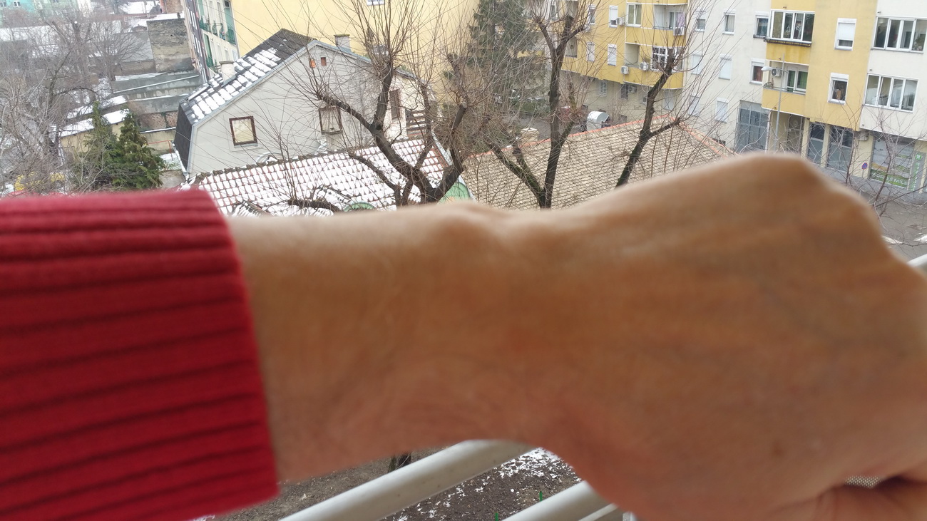 Naziv: 20160108_124408.jpg, pregleda: 333, veličina: 309,9 KB