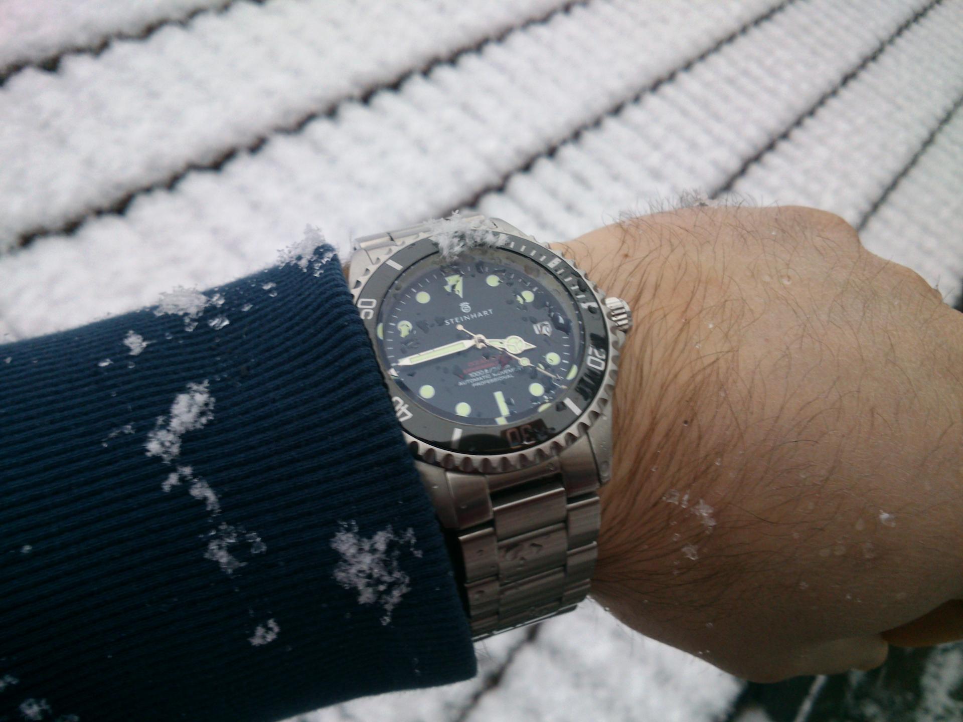 Naziv: DSC_2995.jpg, pregleda: 319, veličina: 208,9 KB