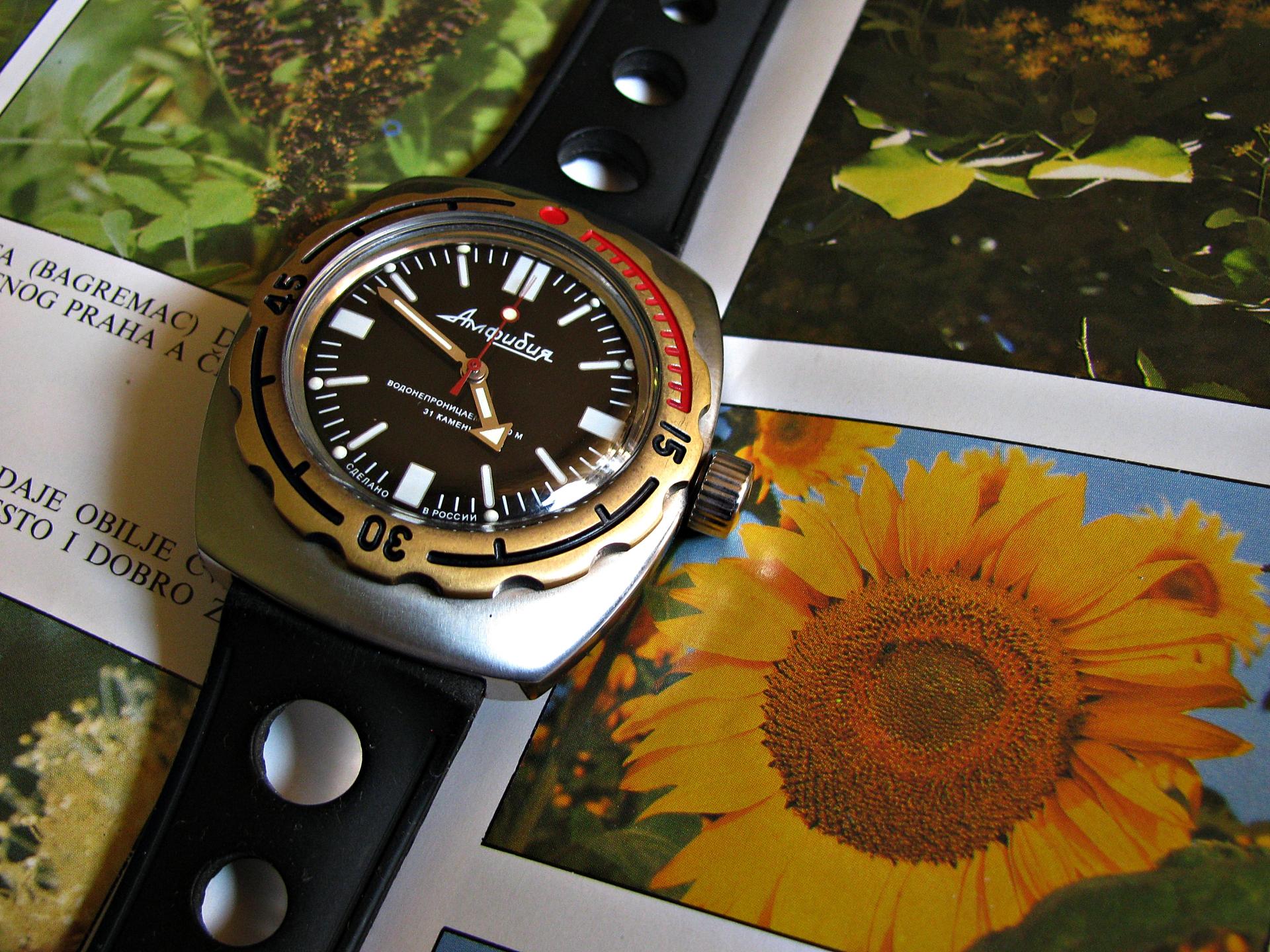 Naziv: IMG_2881 ....jpg, pregleda: 228, veličina: 433,3 KB