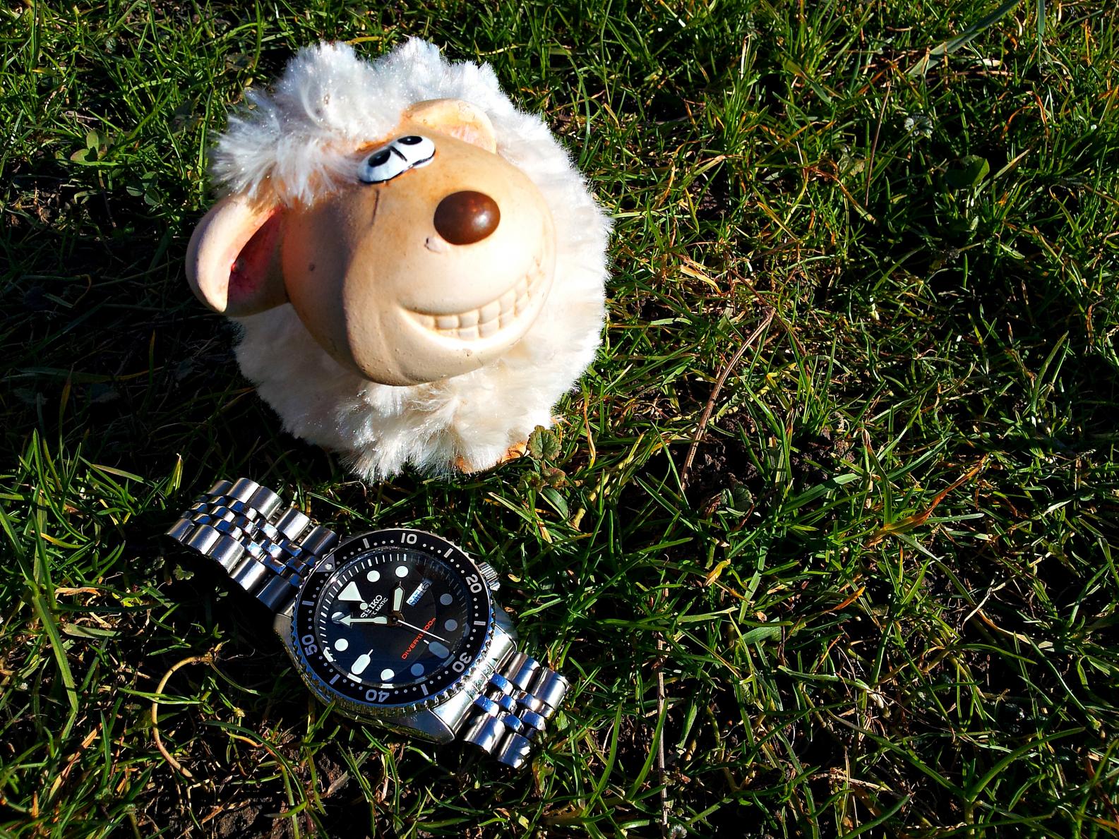 Naziv: 20160206_135216 ....jpg, pregleda: 189, veličina: 532,5 KB