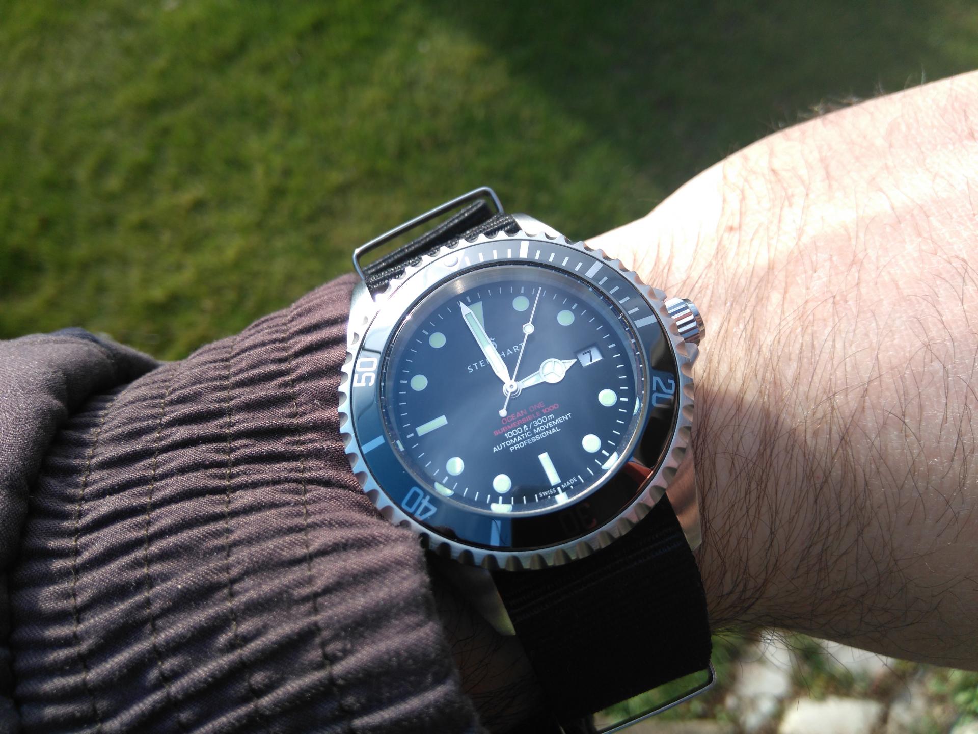 Naziv: DSC_0029.jpg, pregleda: 167, veličina: 295,4 KB