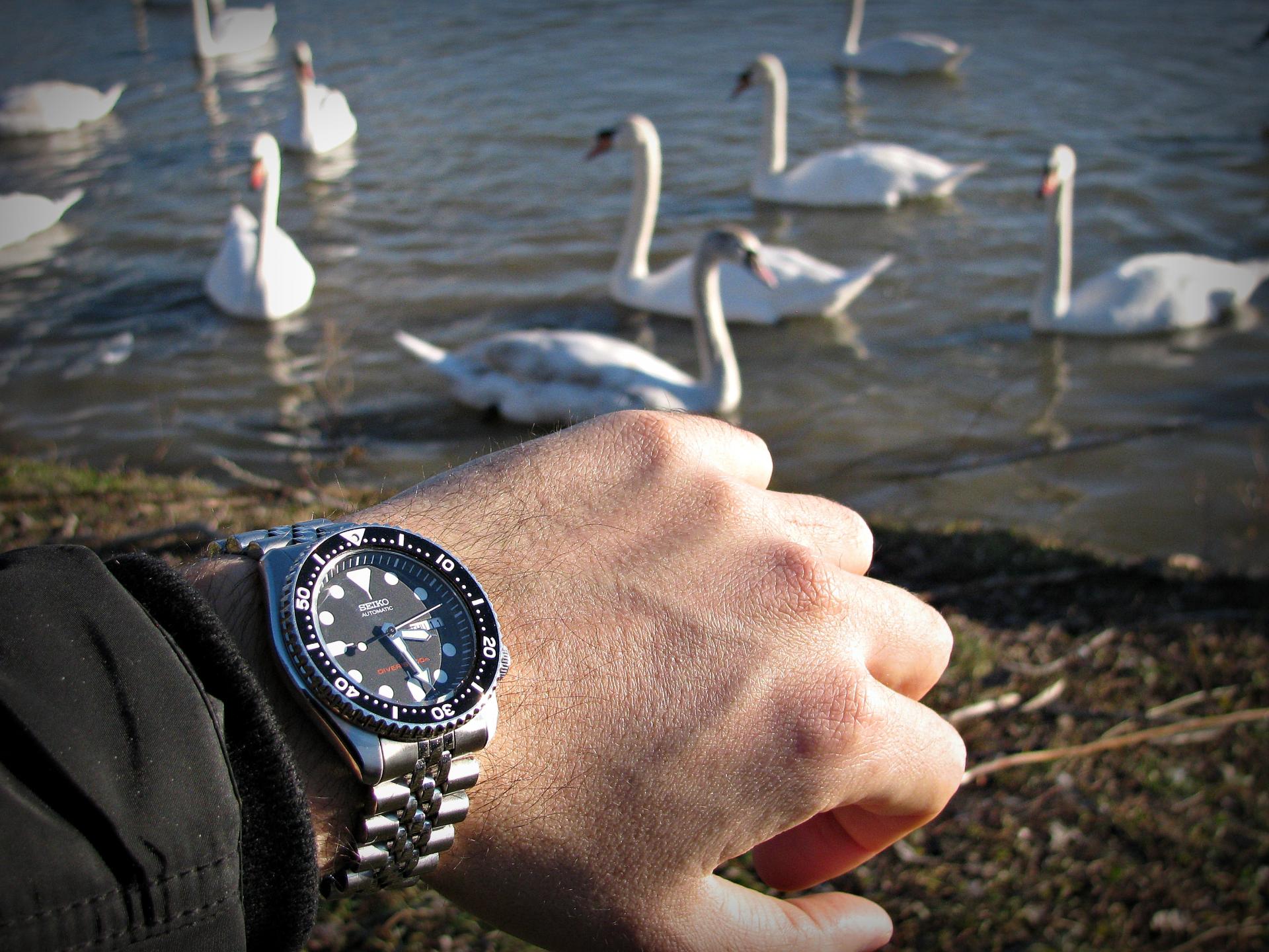 Naziv: IMG_3110 ....jpg, pregleda: 170, veličina: 354,4 KB