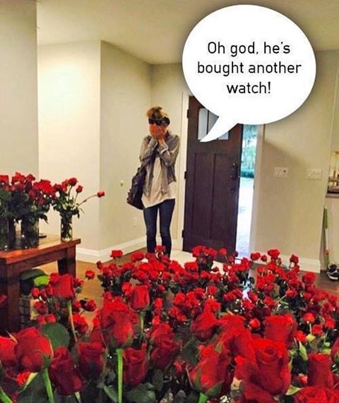 Naziv: 12748450_571452729676245_900285636_n.jpg, pregleda: 846, veličina: 50,9 KB