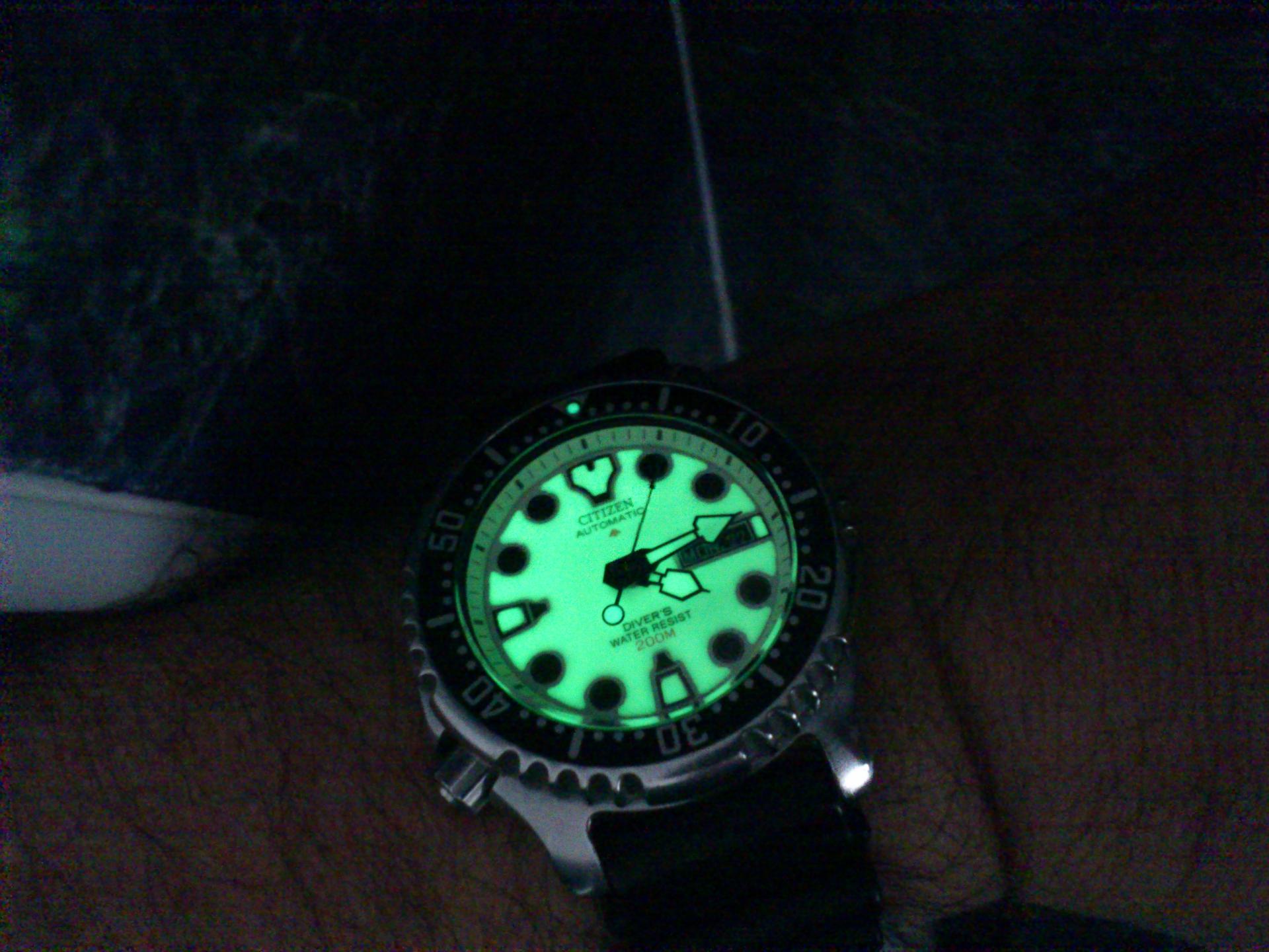 Naziv: DSC_0231.jpg, pregleda: 219, veličina: 233,9 KB