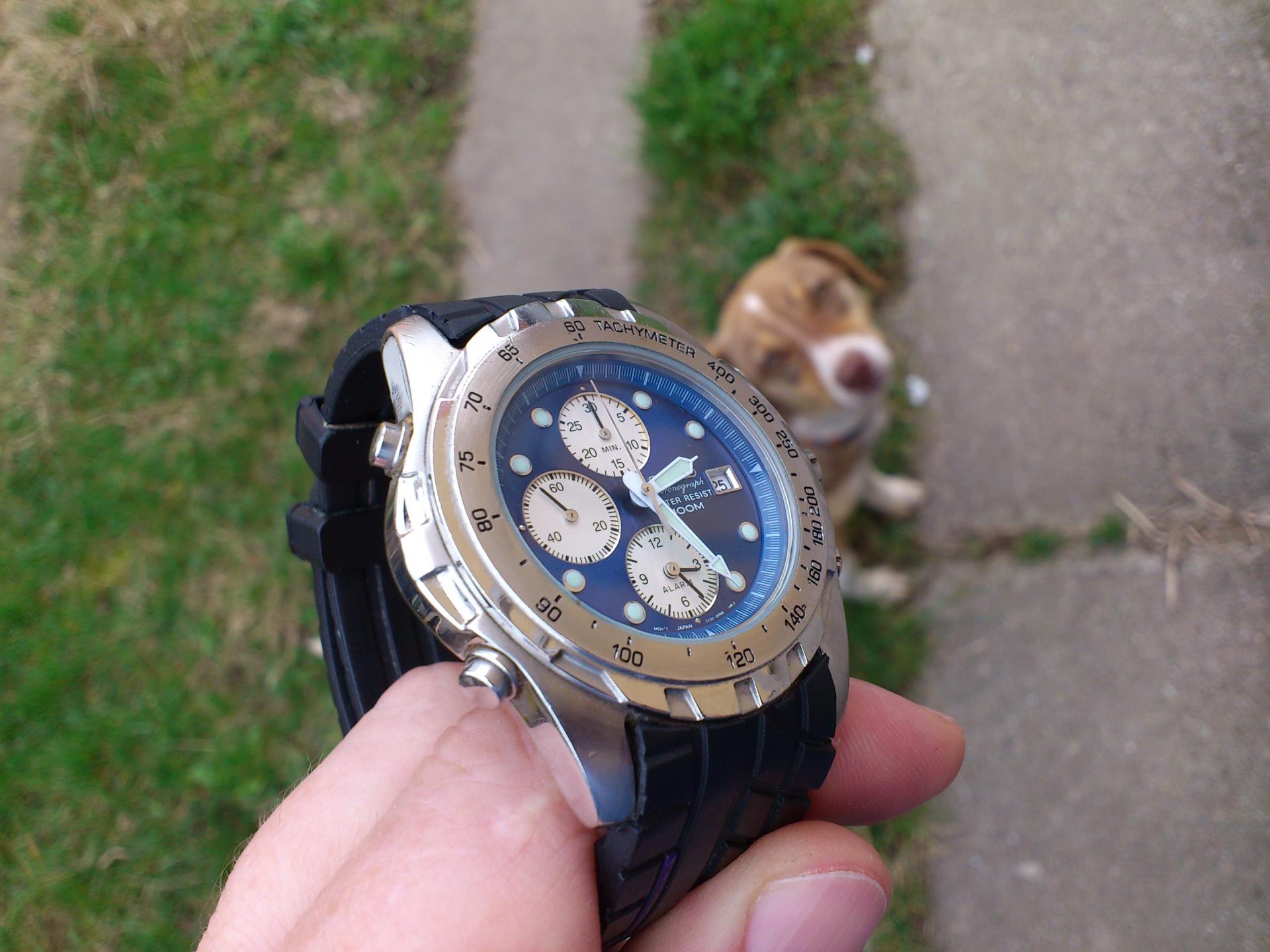 Naziv: DSC_0241.jpg, pregleda: 187, veličina: 224,2 KB