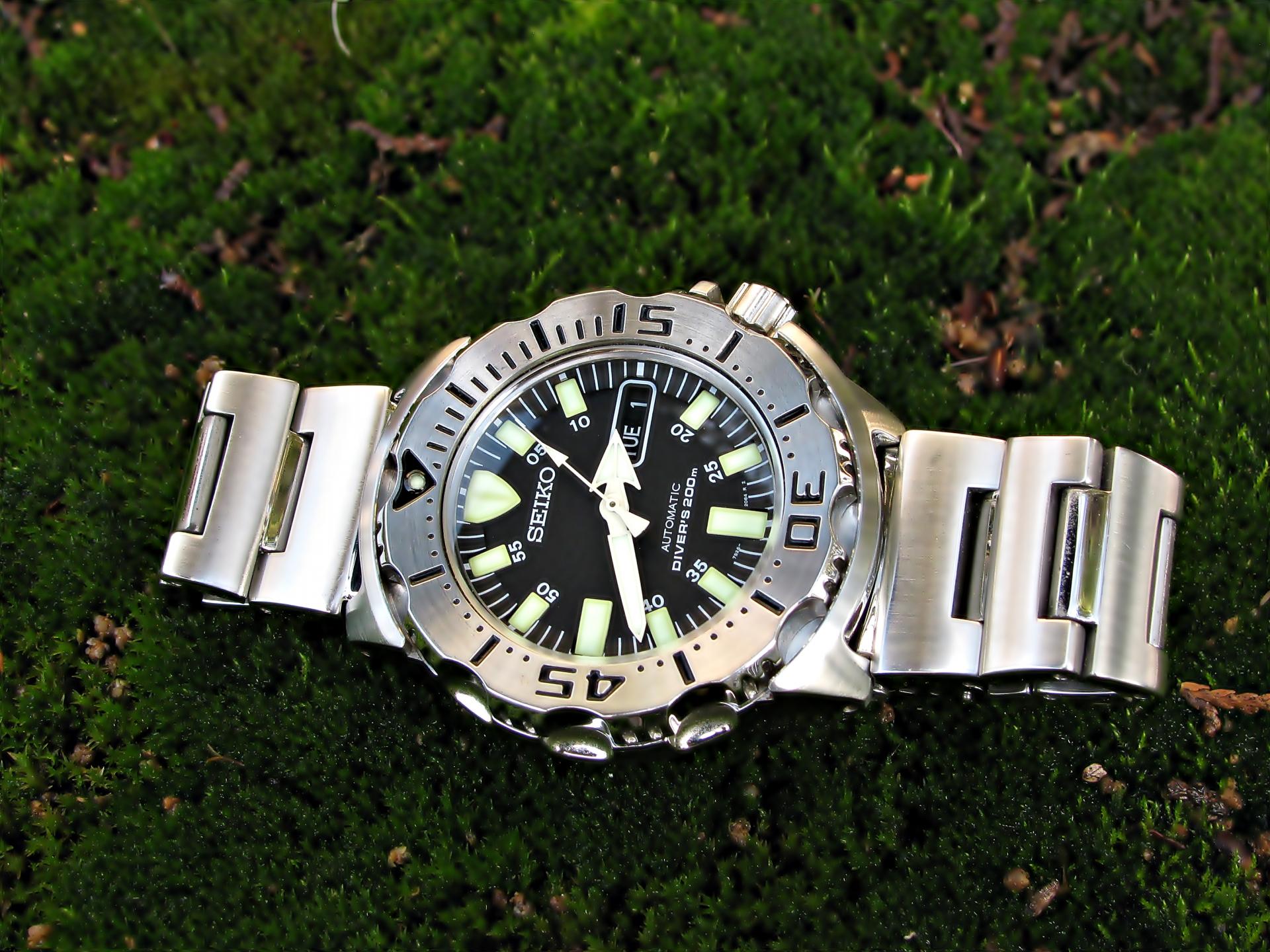 Naziv: IMG_3366 ....jpg, pregleda: 160, veličina: 361,3 KB