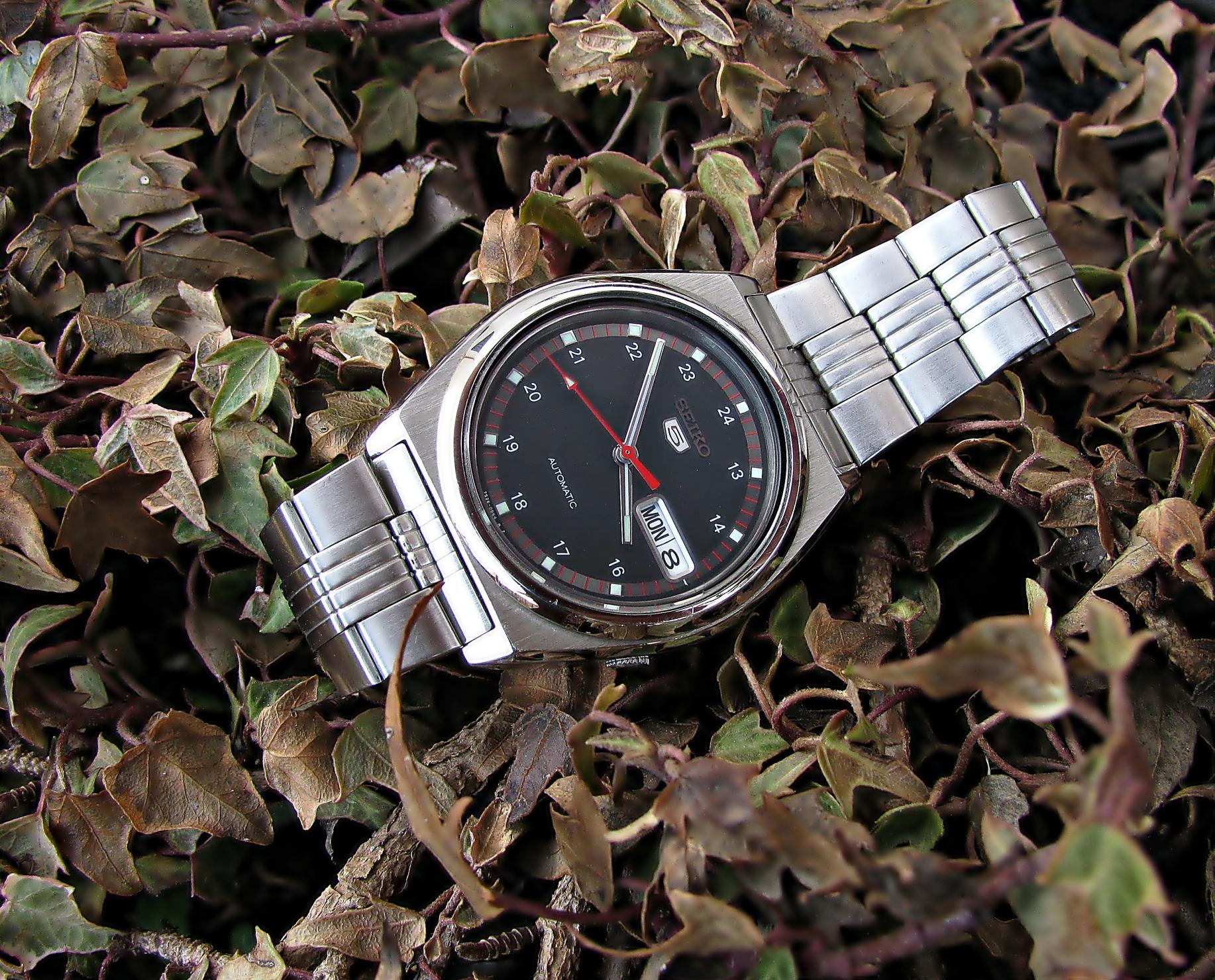 Naziv: IMG_3054 ...,.jpg, pregleda: 181, veličina: 497,8 KB