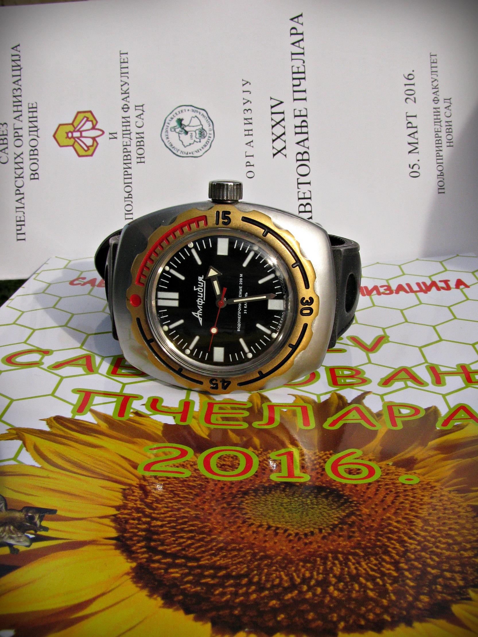 Naziv: IMG_3425 ....jpg, pregleda: 183, veličina: 490,4 KB