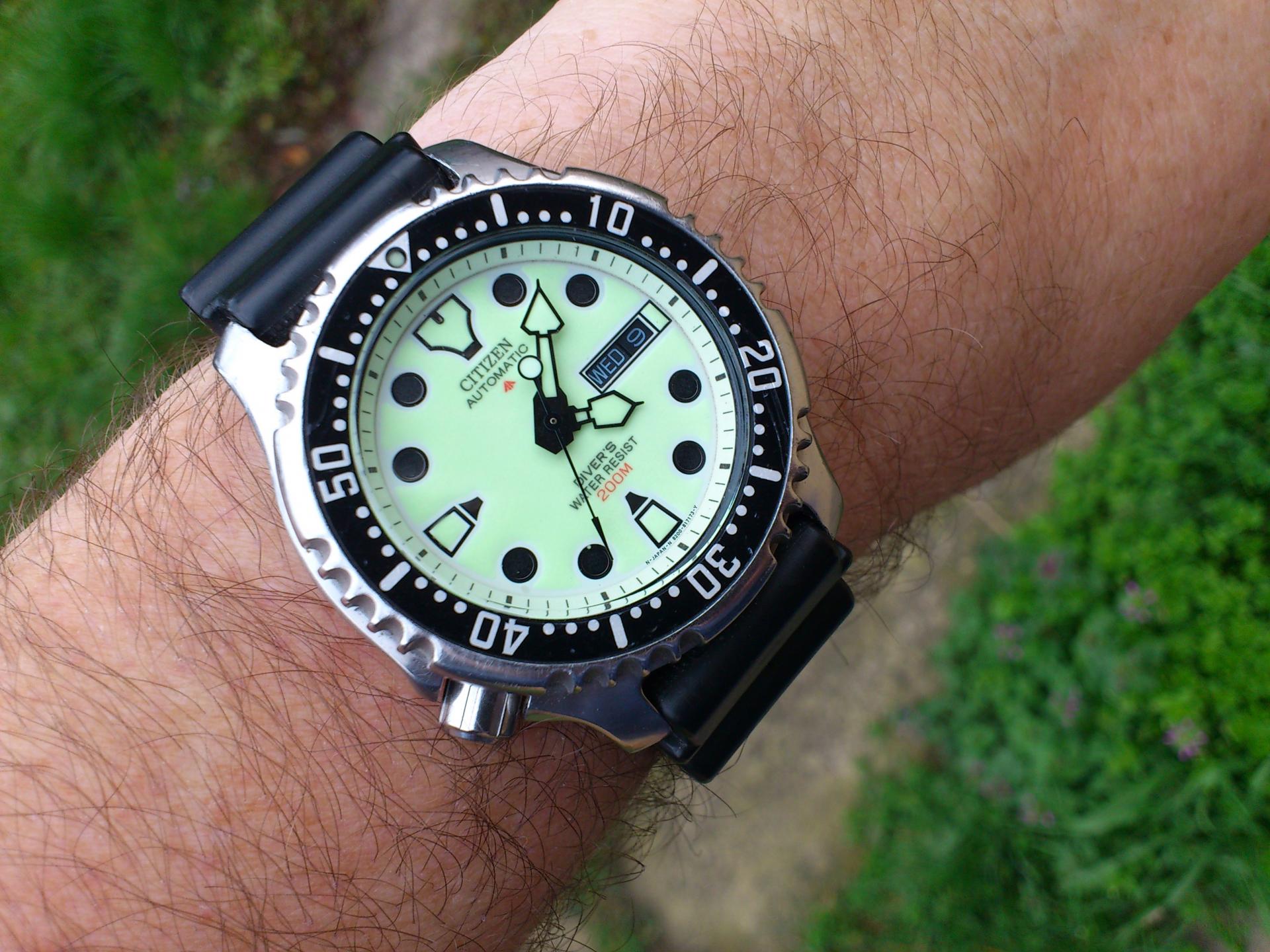 Naziv: DSC_0304.jpg, pregleda: 149, veličina: 317,8 KB