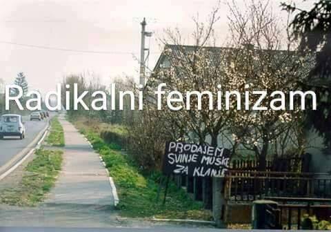 Naziv: svinjeccc.jpg, pregleda: 7057, veličina: 29,0 KB