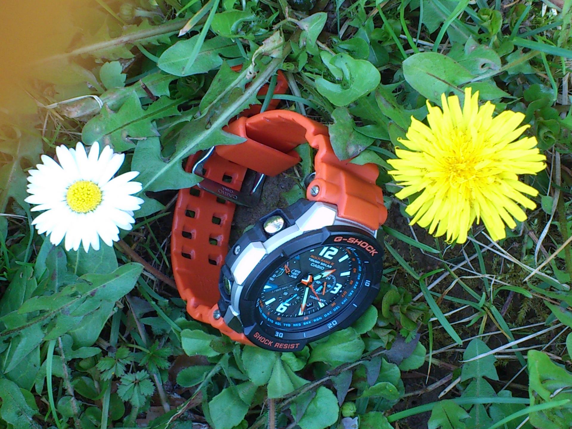 Naziv: DSC_0293.jpg, pregleda: 189, veličina: 384,8 KB