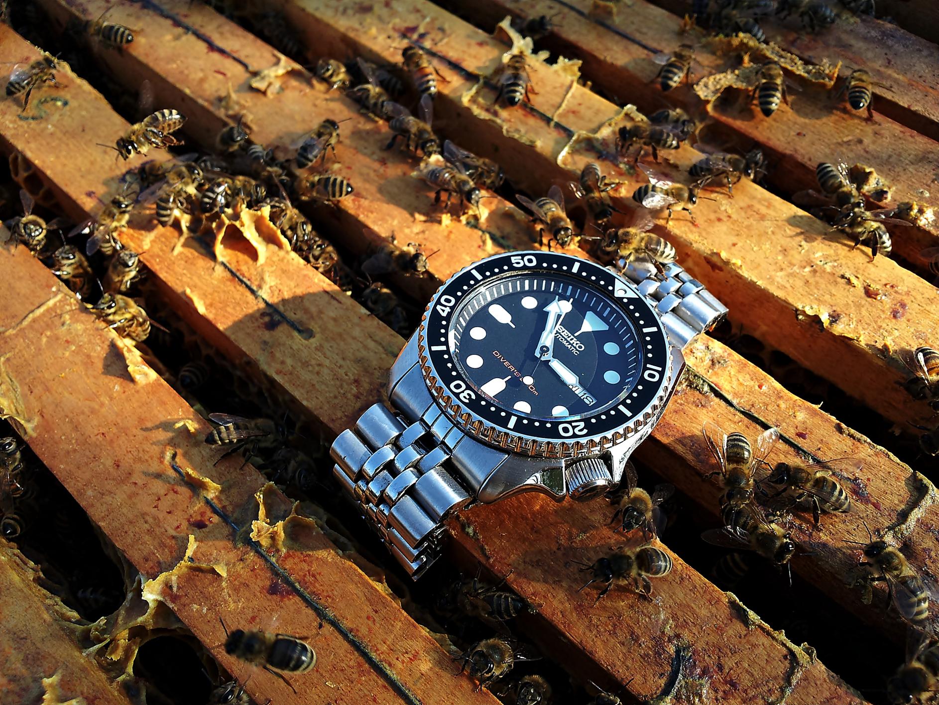 Naziv: 20160318_145041 ....jpg, pregleda: 199, veličina: 493,7 KB