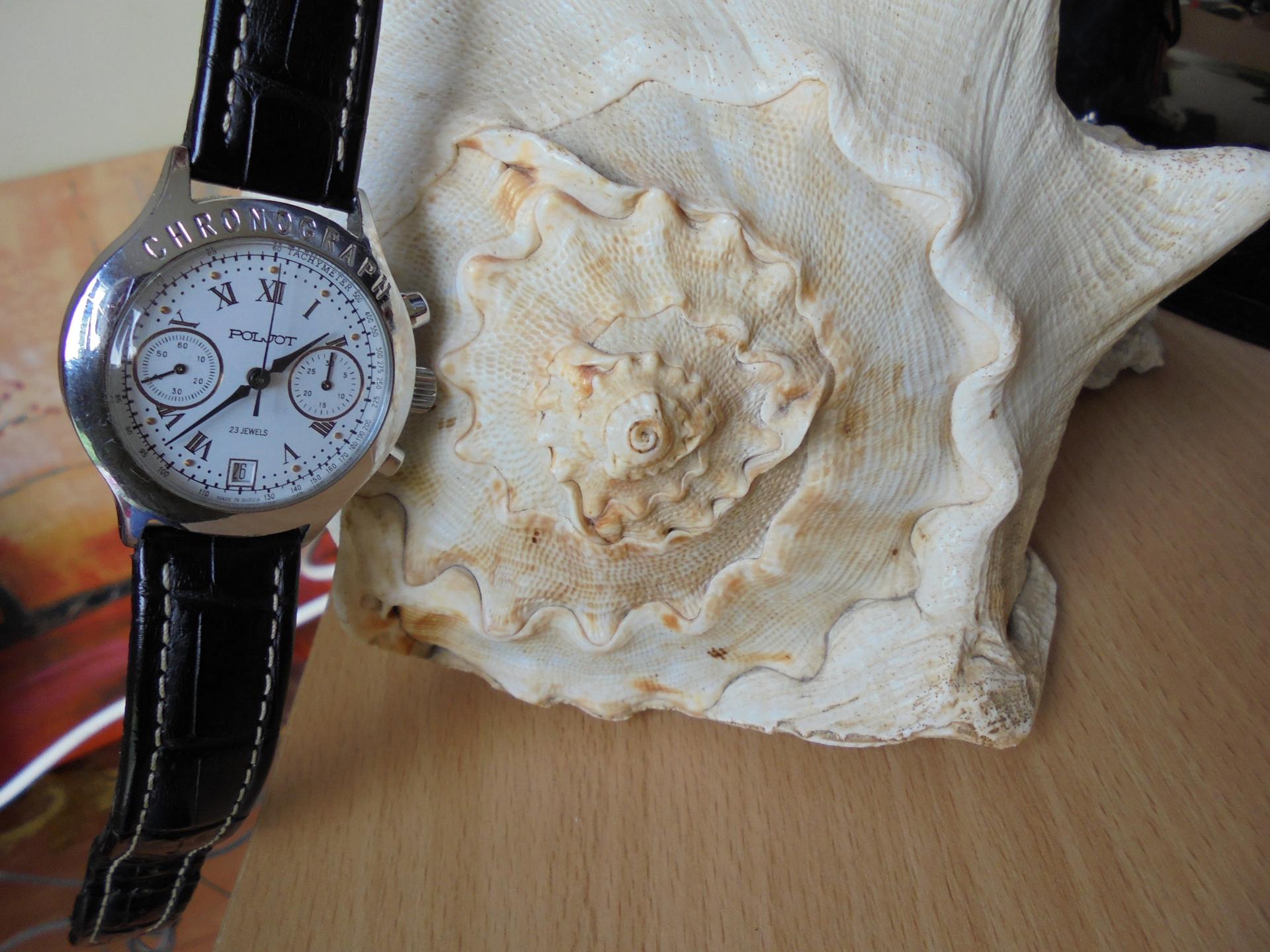 Naziv: DSC04438.jpg, pregleda: 178, veličina: 278,2 KB