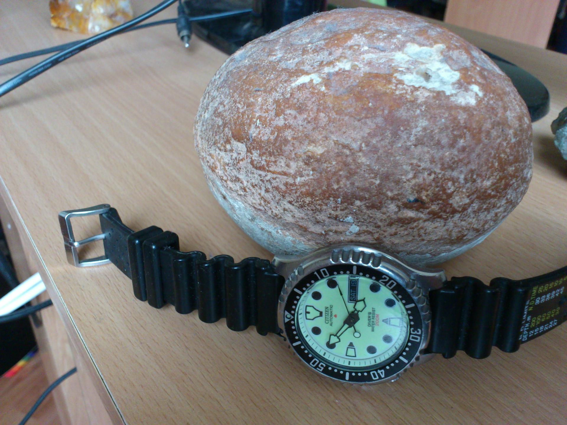 Naziv: DSC_0355.jpg, pregleda: 225, veličina: 317,1 KB