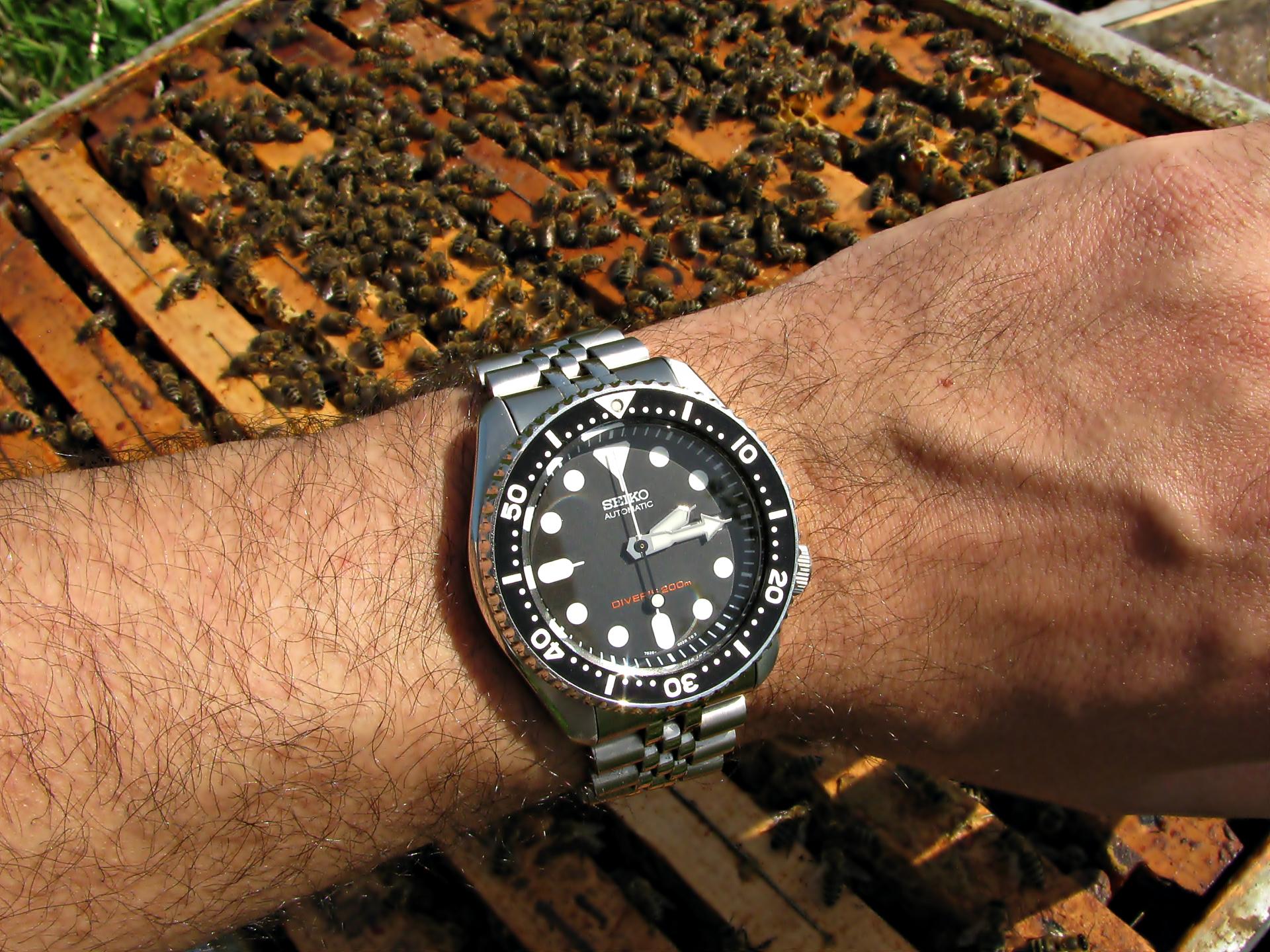 Naziv: IMG_3570 ....jpg, pregleda: 206, veličina: 432,7 KB