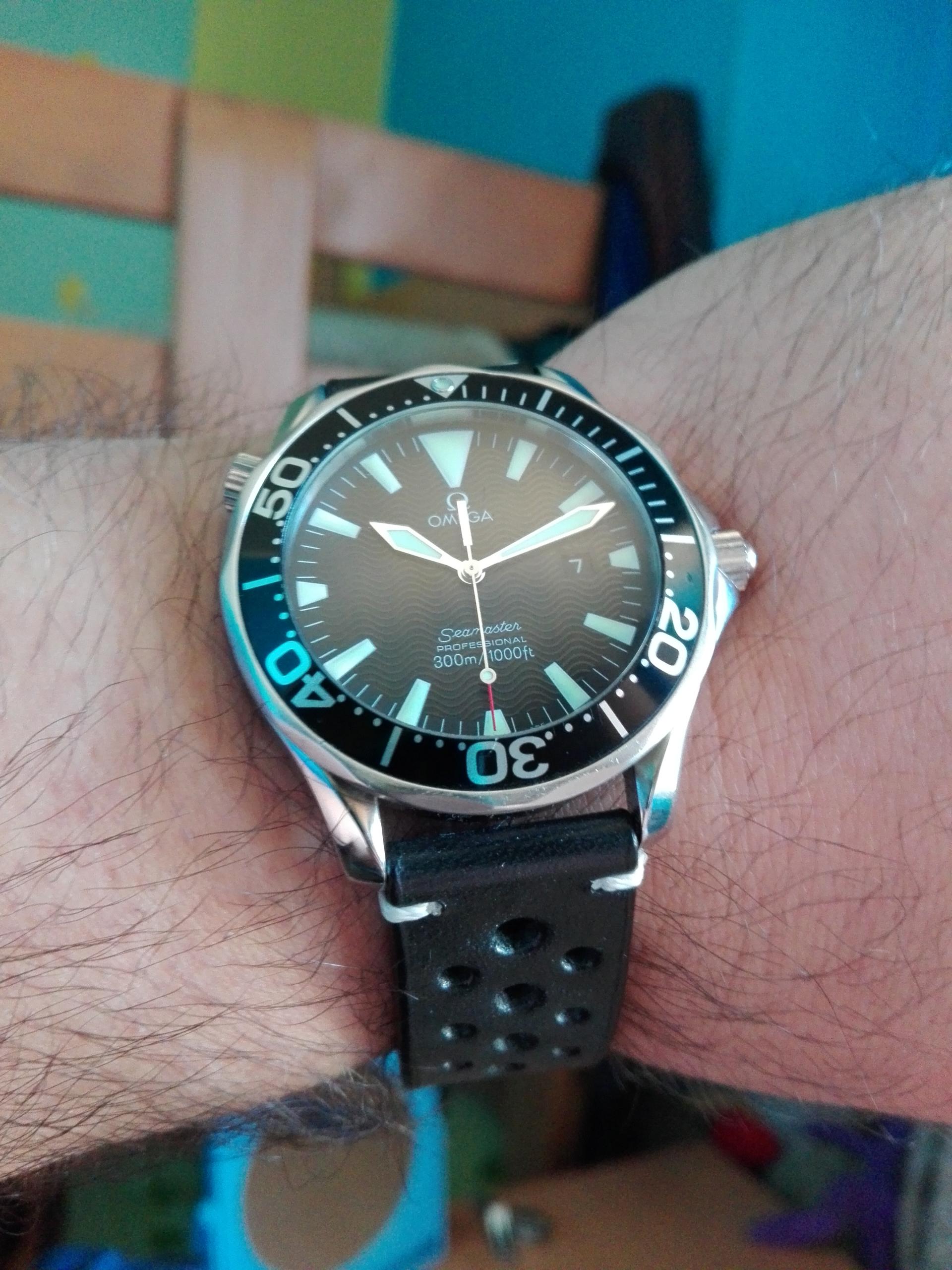 Naziv: IMG_20160407_101216.jpg, pregleda: 348, veličina: 478,1 KB